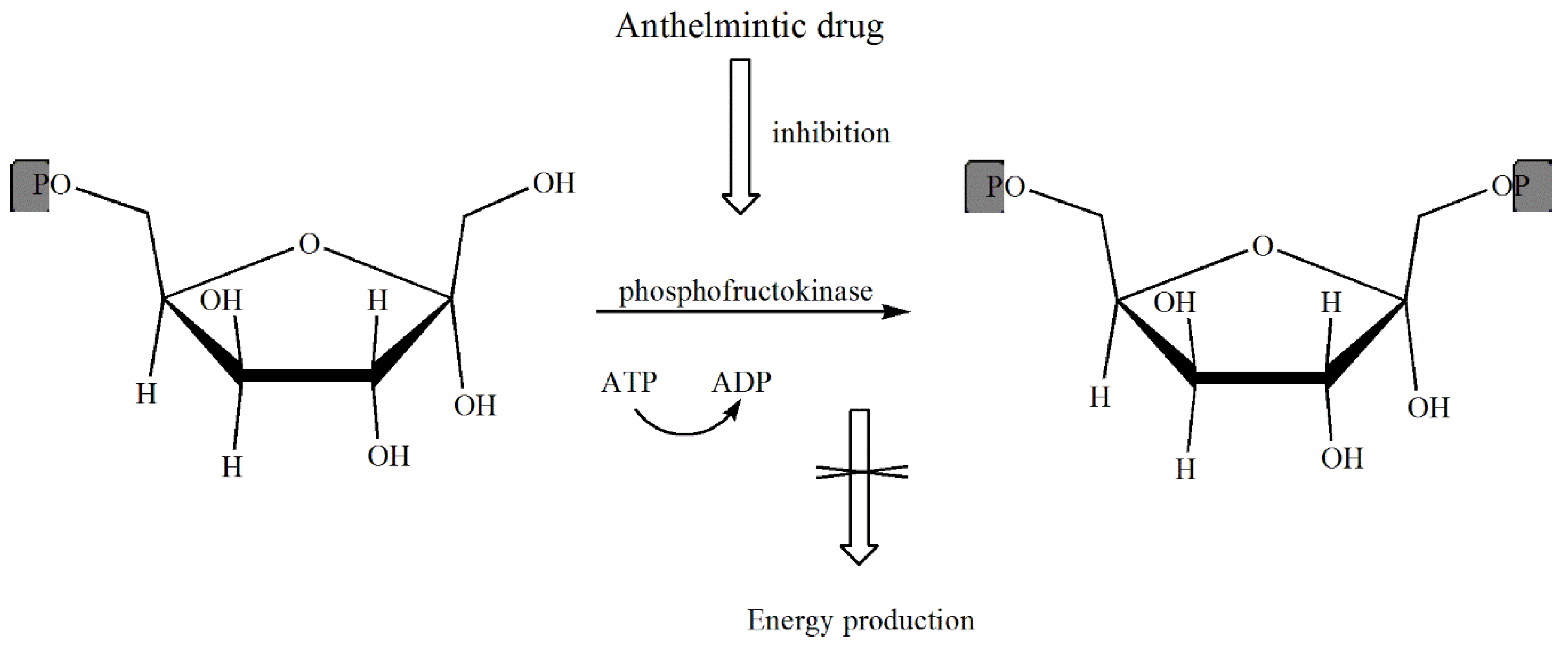 Pharmaceuticals 11 00054 sch004