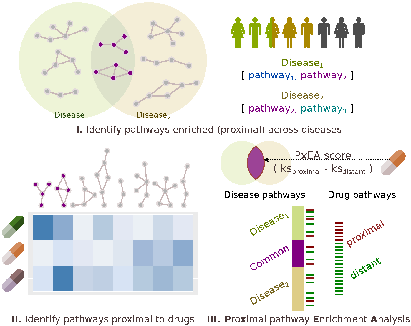 Pharmaceuticals Free FullText Proximal Pathway