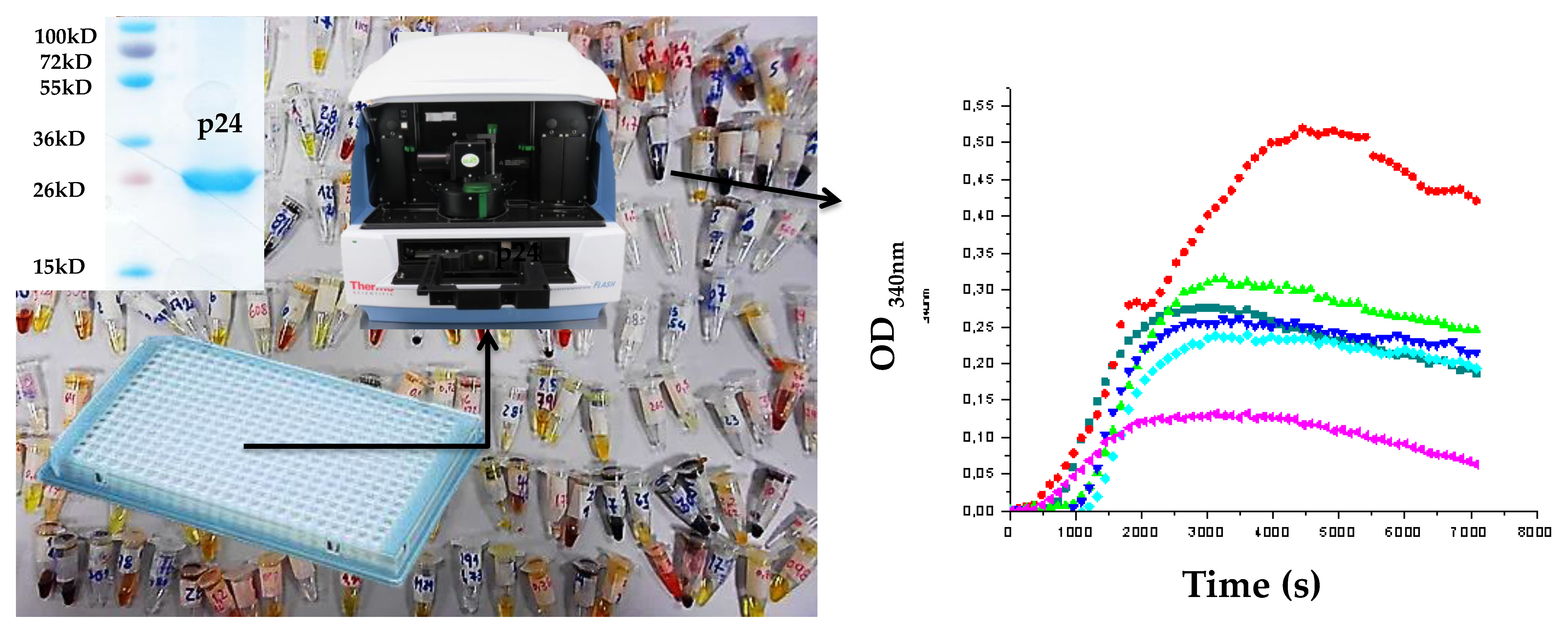 Pharmaceuticals 11 00067 g003 Pharmaceuticals 11 00067 g003