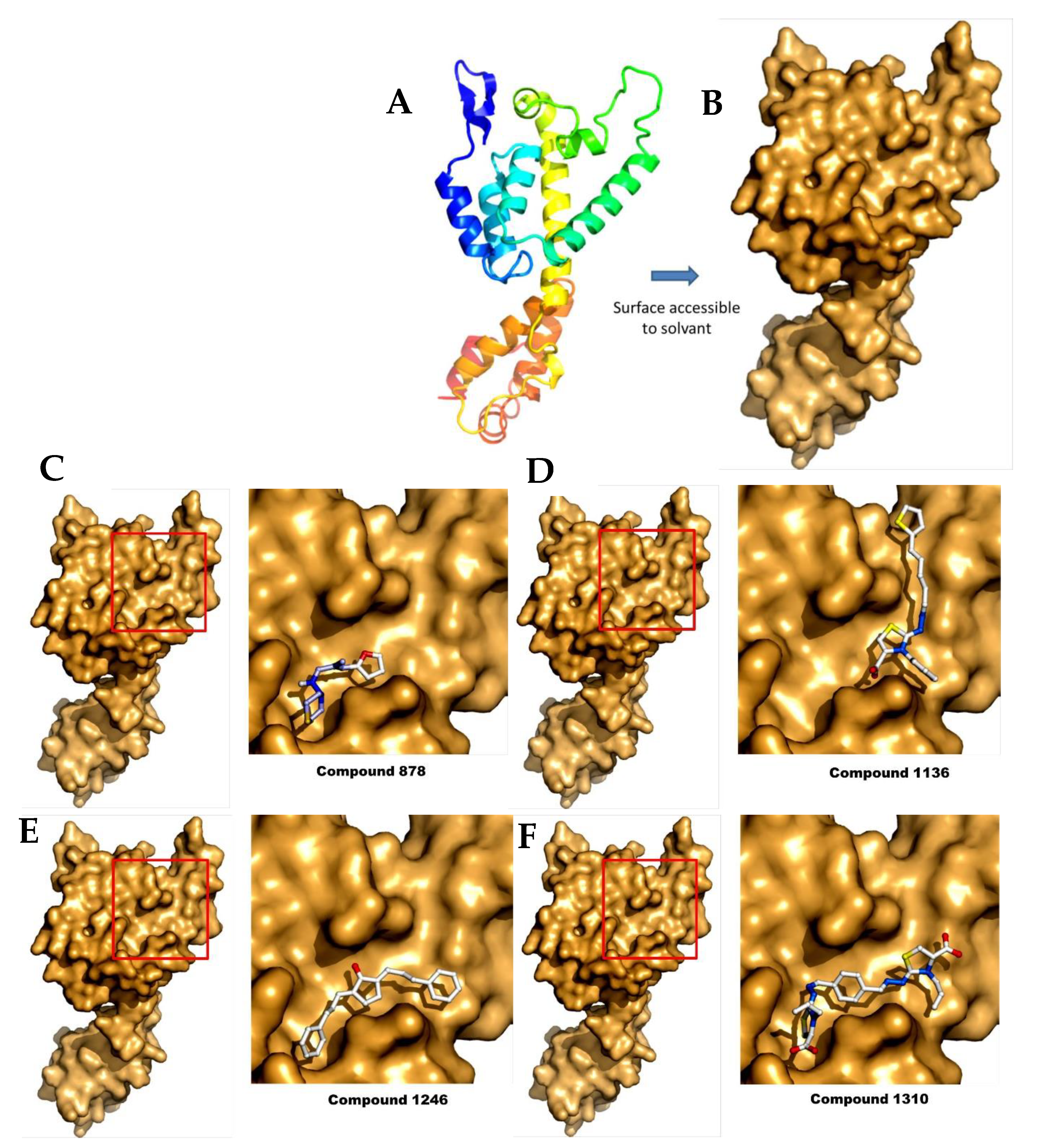 Pharmaceuticals 11 00067 g006 Pharmaceuticals 11 00067 g006