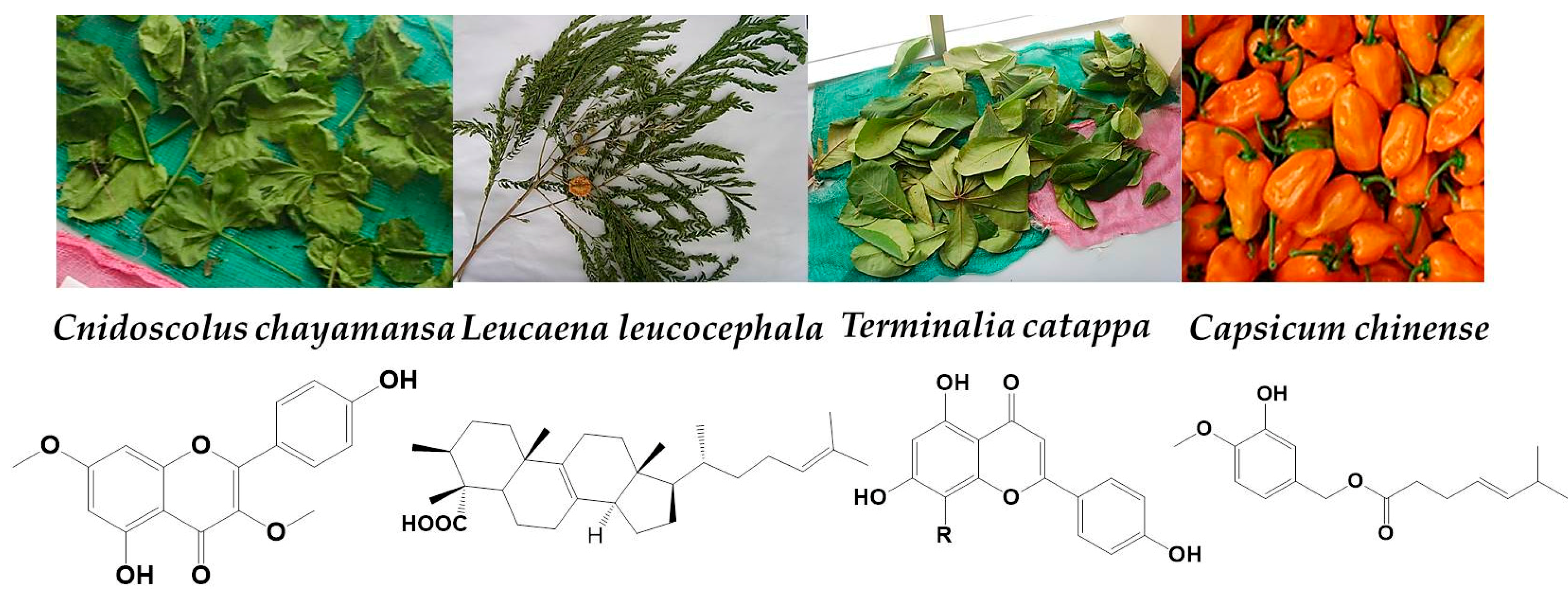 Pharmaceuticals 11 00078 g001 Pharmaceuticals 11 00078 g001