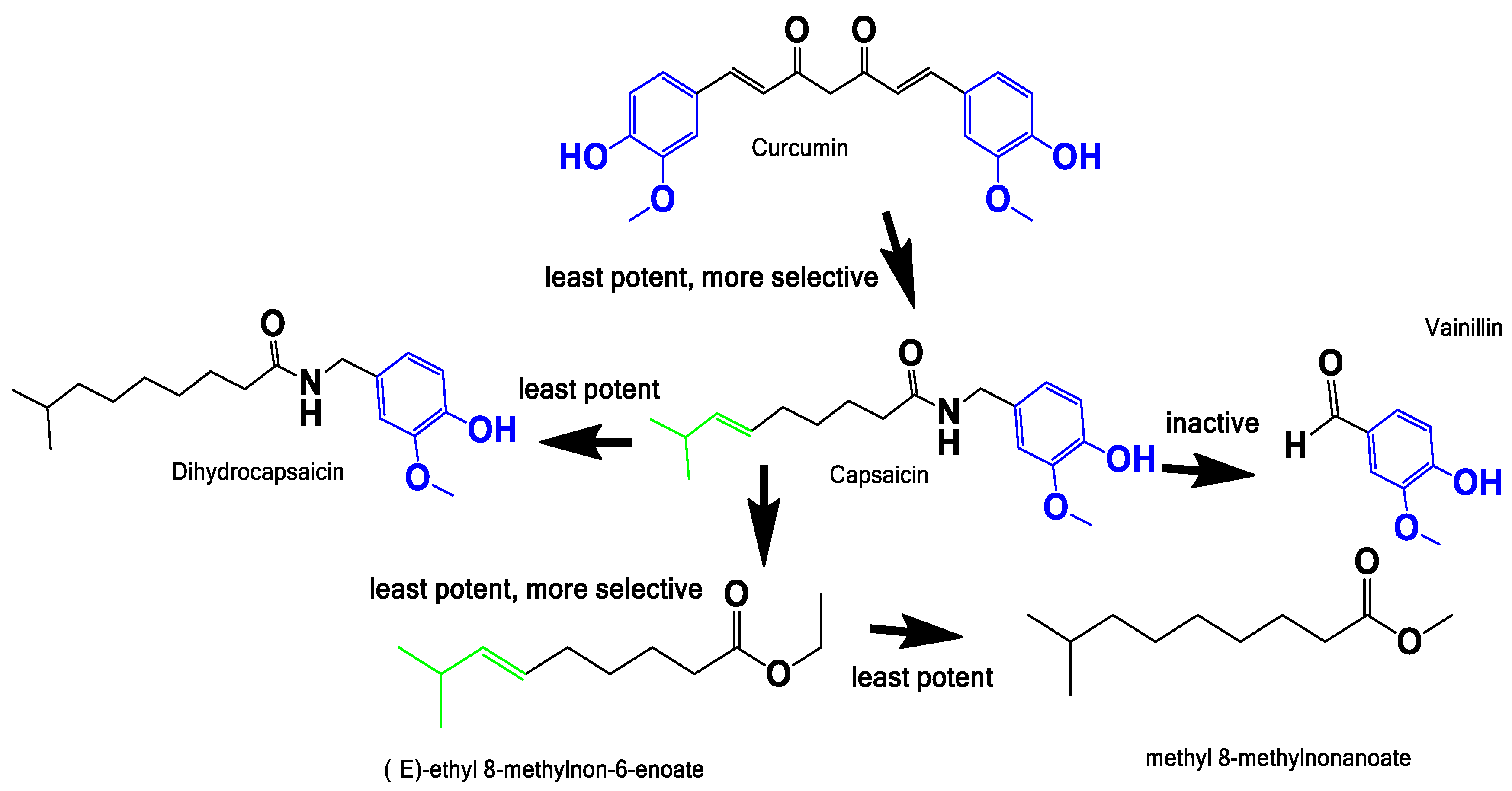 Pharmaceuticals 11 00078 g007 Pharmaceuticals 11 00078 g007