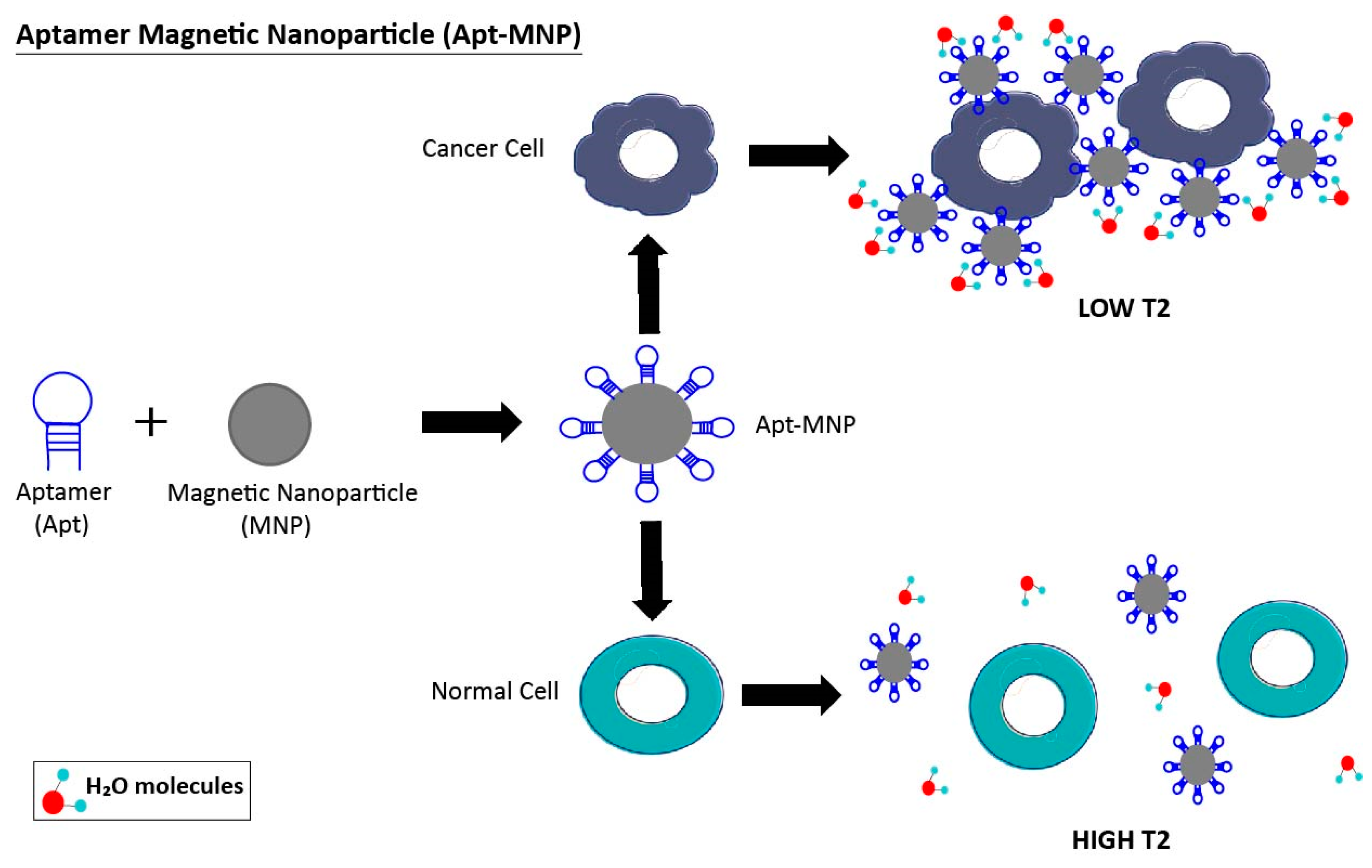 Pharmaceuticals 11 00086 g003 Pharmaceuticals 11 00086 g003