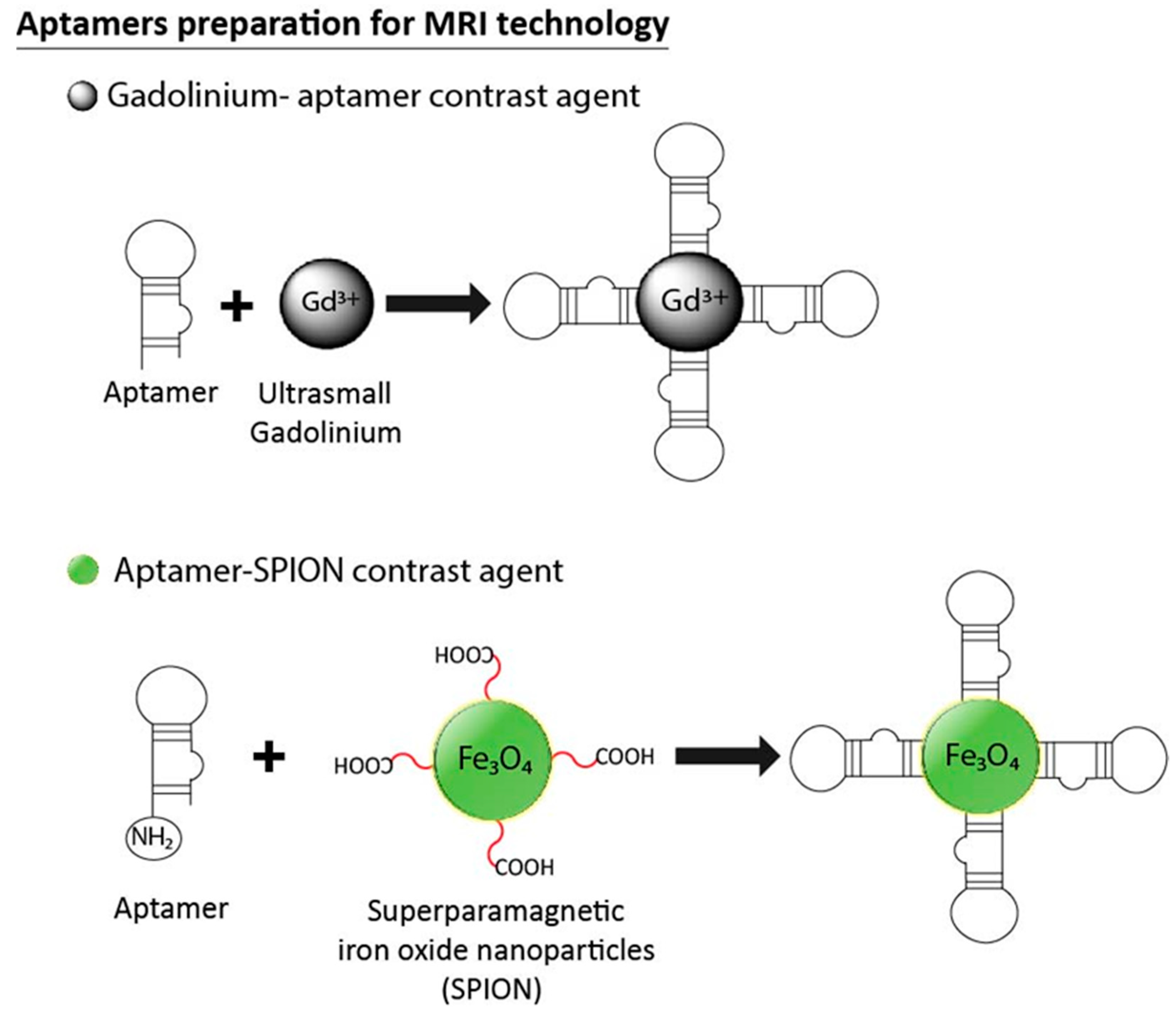 Pharmaceuticals 11 00086 g008 Pharmaceuticals 11 00086 g008