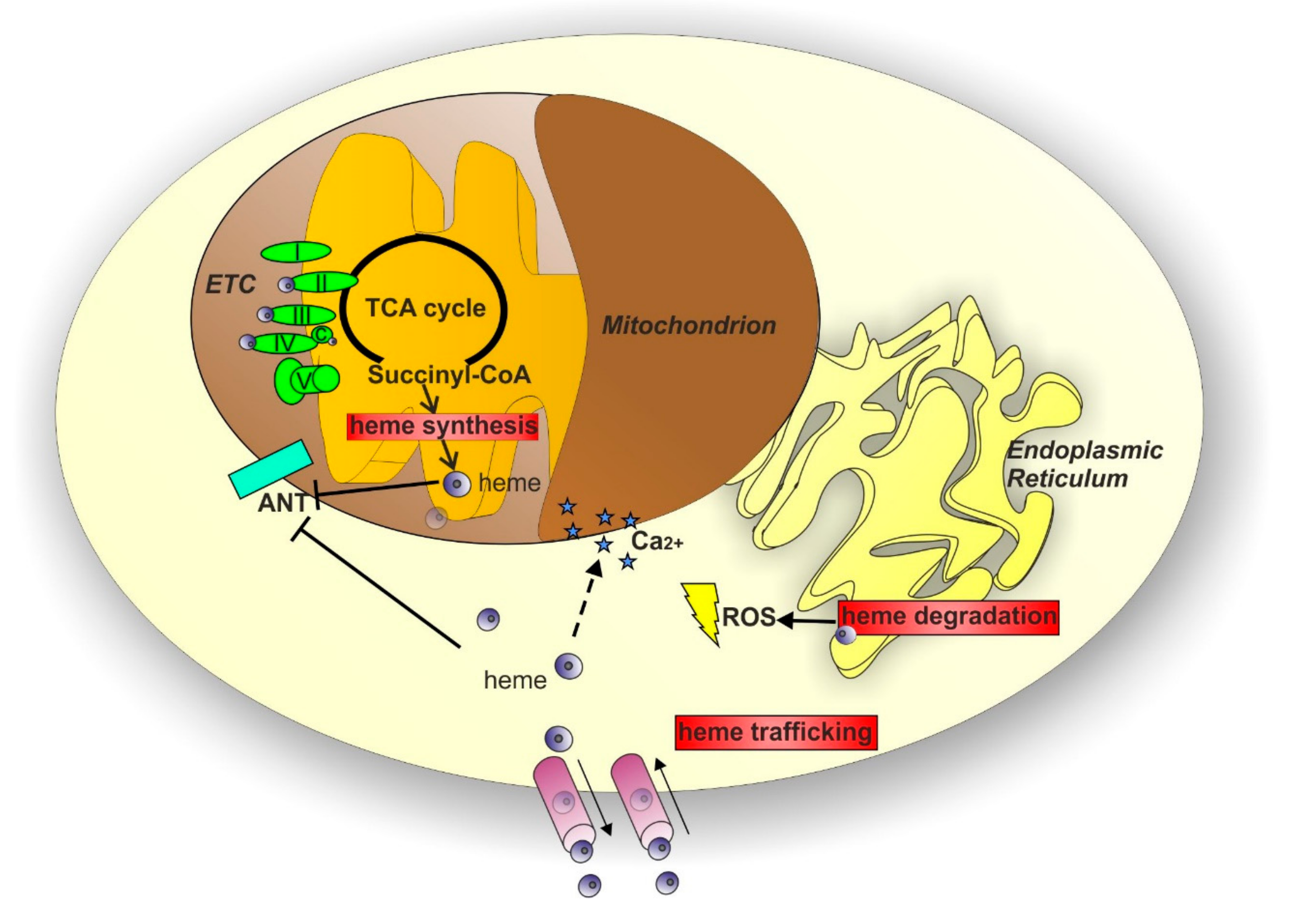 Pharmaceuticals 11 00087 g003 Pharmaceuticals 11 00087 g003