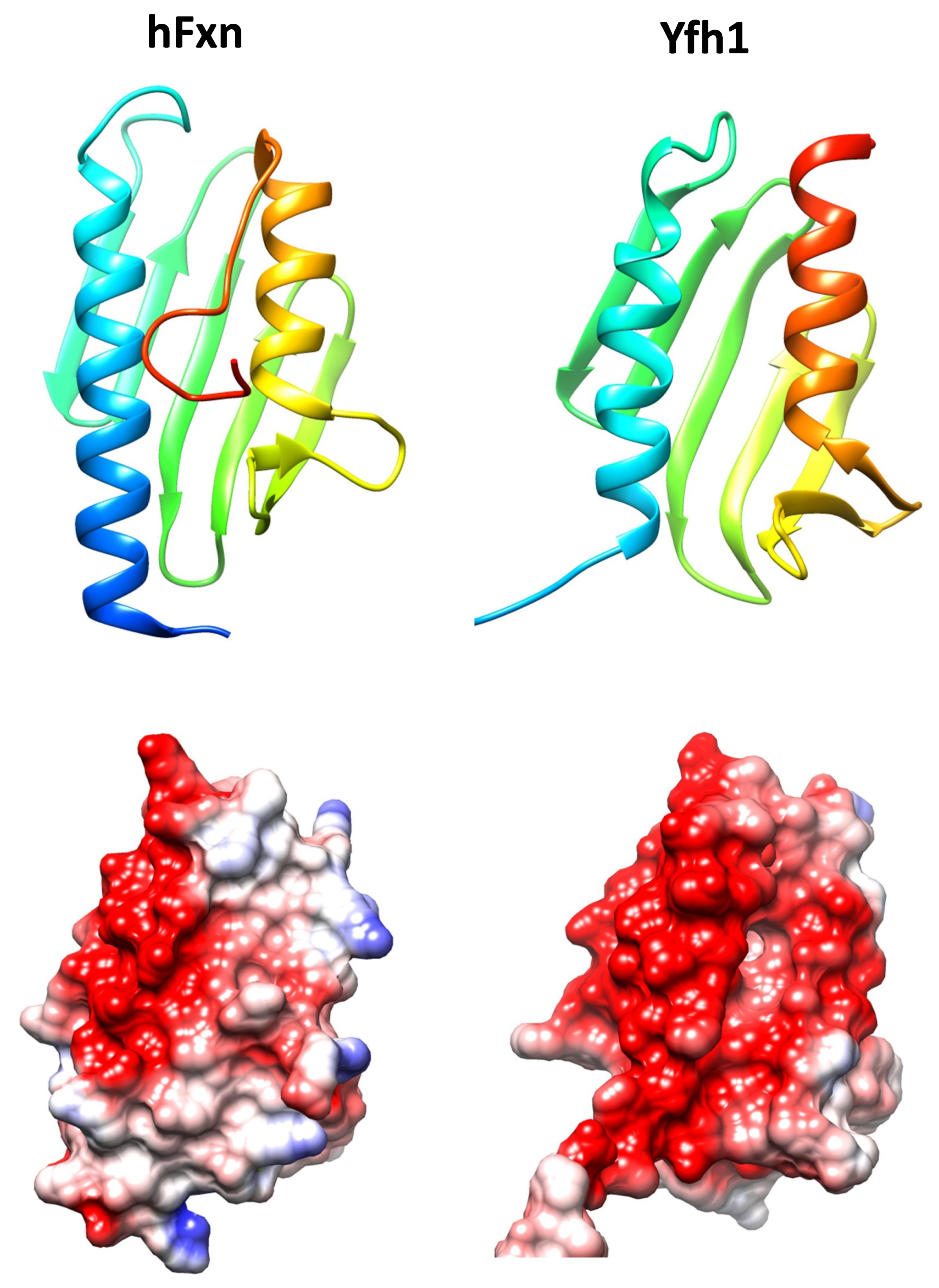 Pharmaceuticals 11 00089 g001