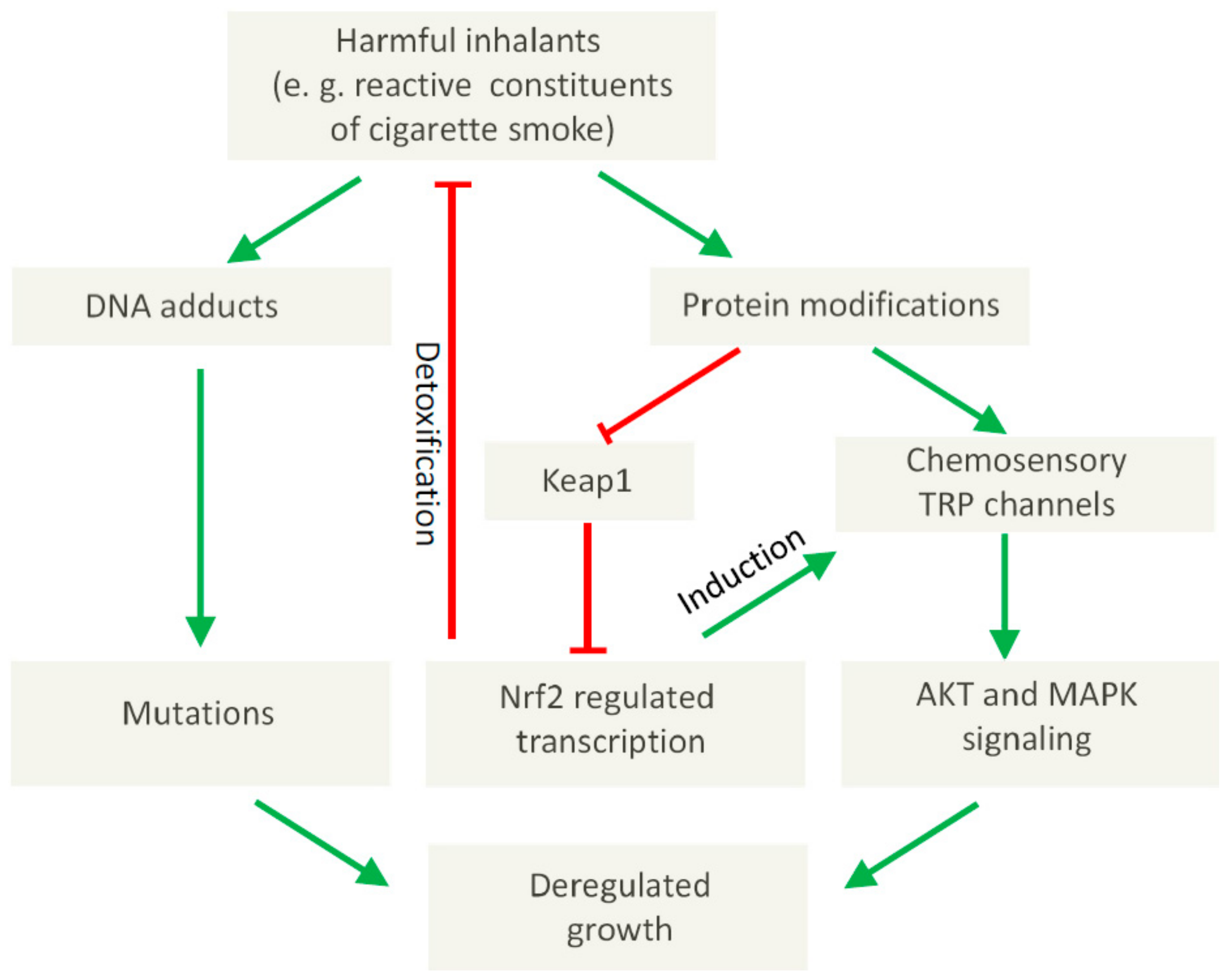 Pharmaceuticals 11 00090 g001 Pharmaceuticals 11 00090 g001
