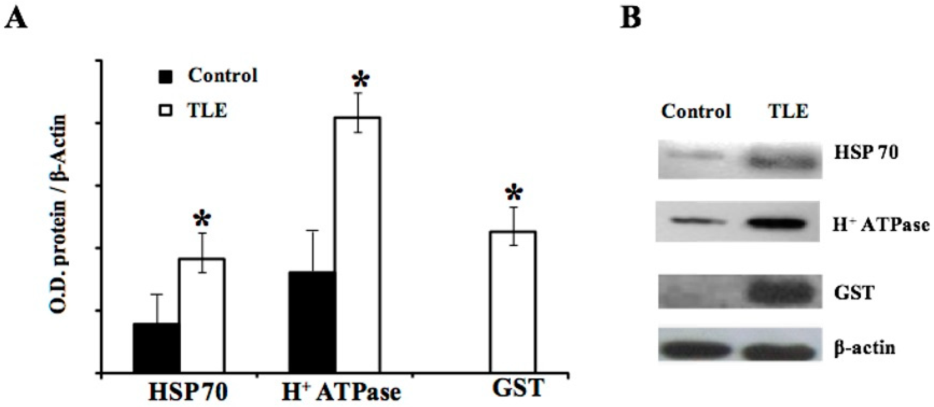 Pharmaceuticals 11 00095 g004