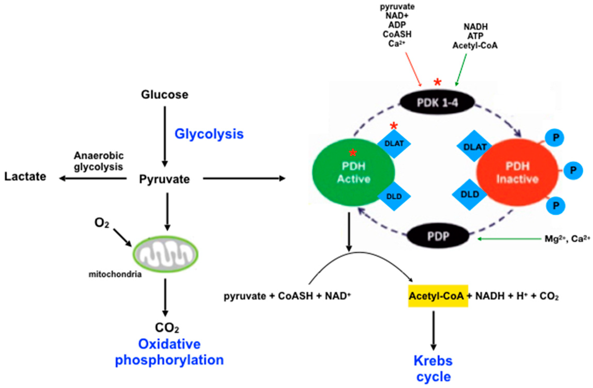 Pharmaceuticals 11 00095 g005