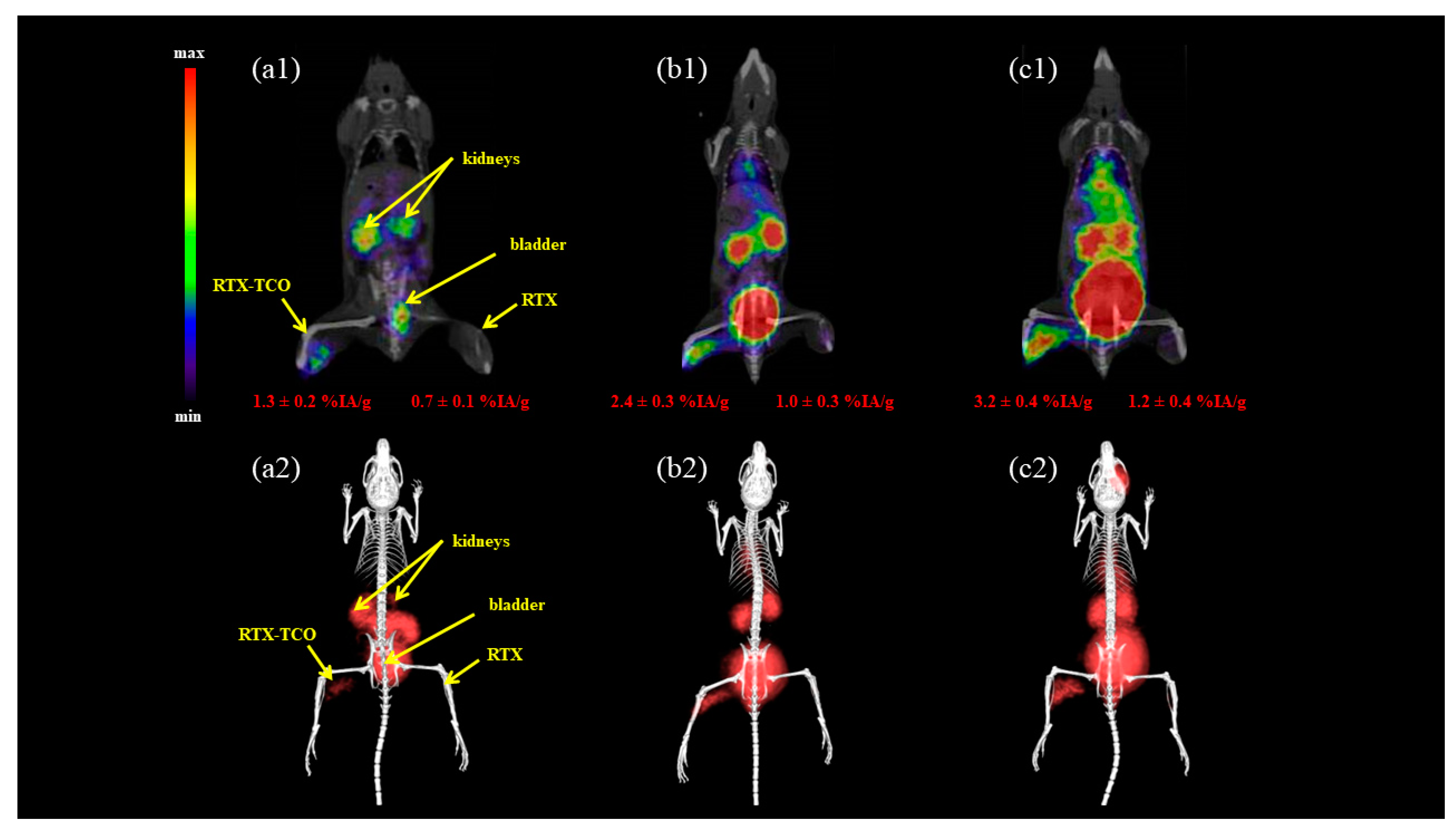 Pharmaceuticals Free Full Text Pretargeted Imaging With Gallium 68 Improving The Binding Capability By Increasing The Number Of Tetrazine Motifs Html Pharmaceuticals Free Full Text Pretargeted Imaging With Gallium 68 Improving The Binding Capability By Increasing The Number Of Tetrazine Motifs Html
