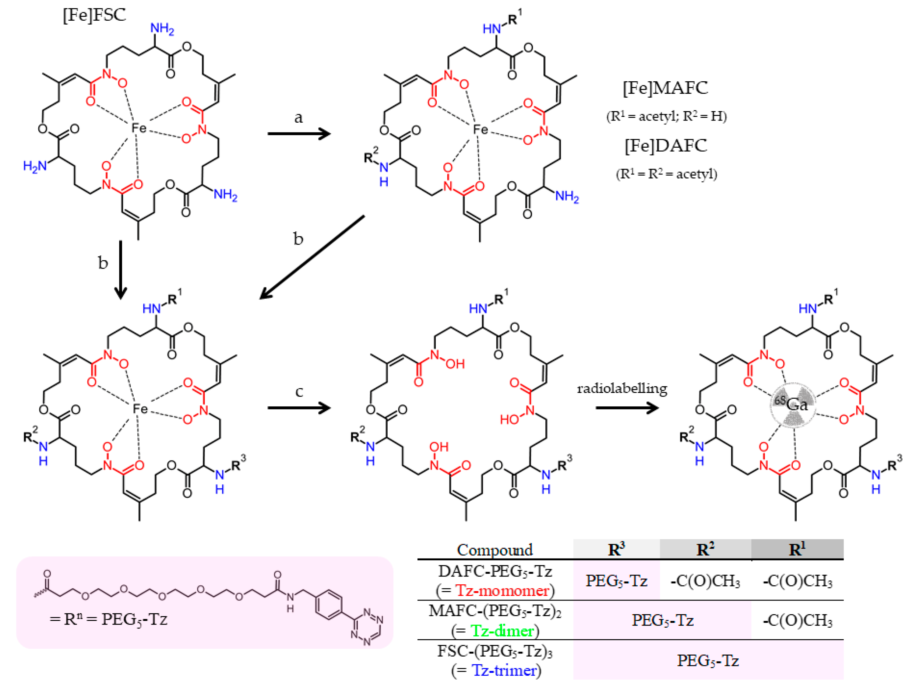 Pharmaceuticals Free Full Text Pretargeted Imaging With Gallium 68 Improving The Binding Capability By Increasing The Number Of Tetrazine Motifs Html