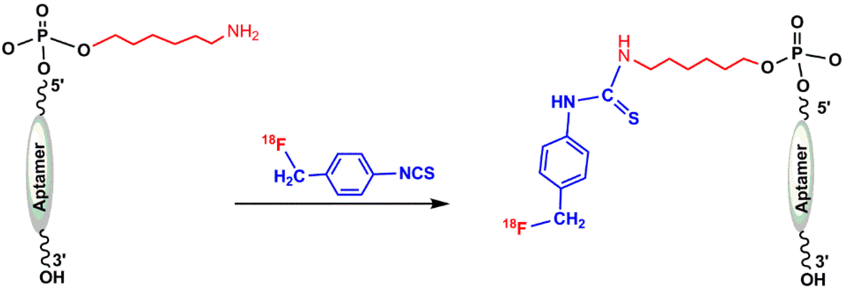 Pharmaceuticals Free FullText Radiolabeling of Nucleic Acid