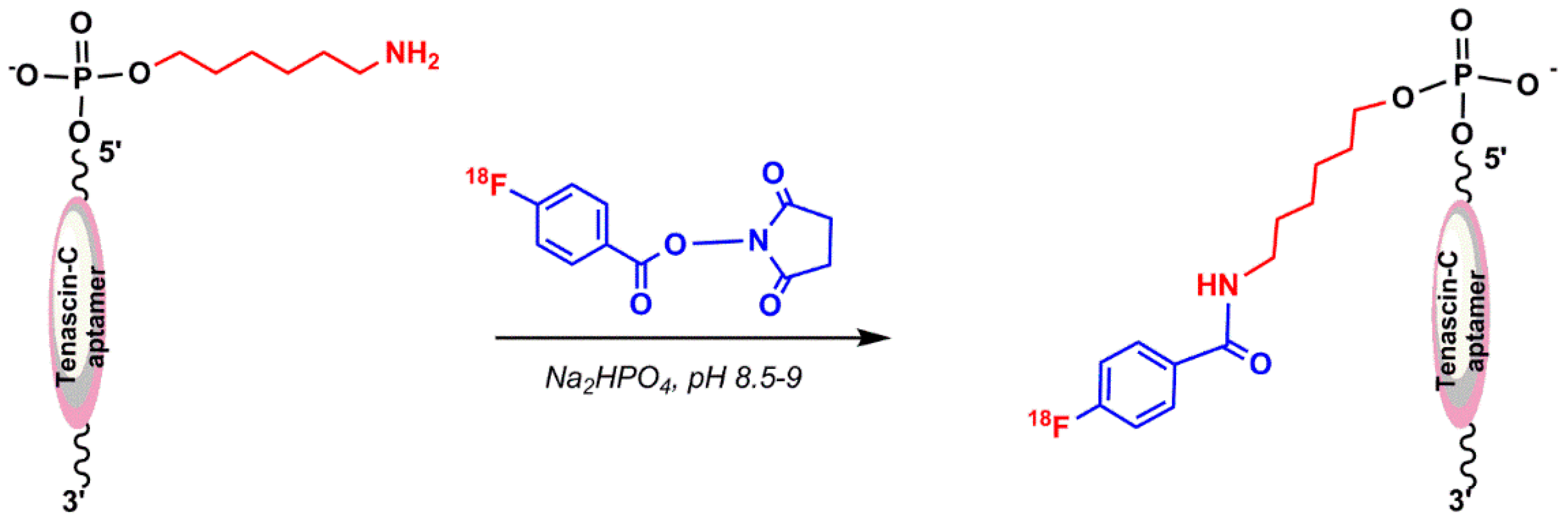 Pharmaceuticals 11 00106 g013 Pharmaceuticals 11 00106 g013