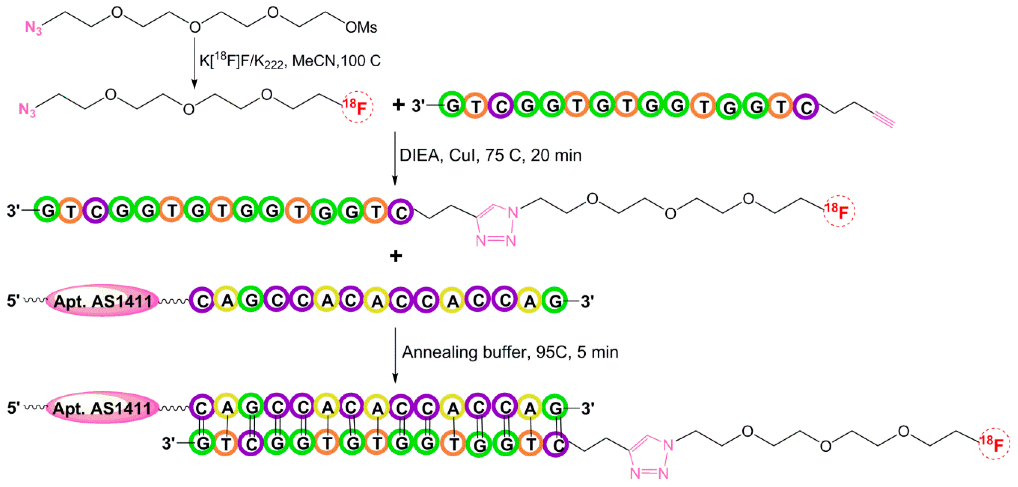 Pharmaceuticals Free FullText Radiolabeling of Nucleic Acid