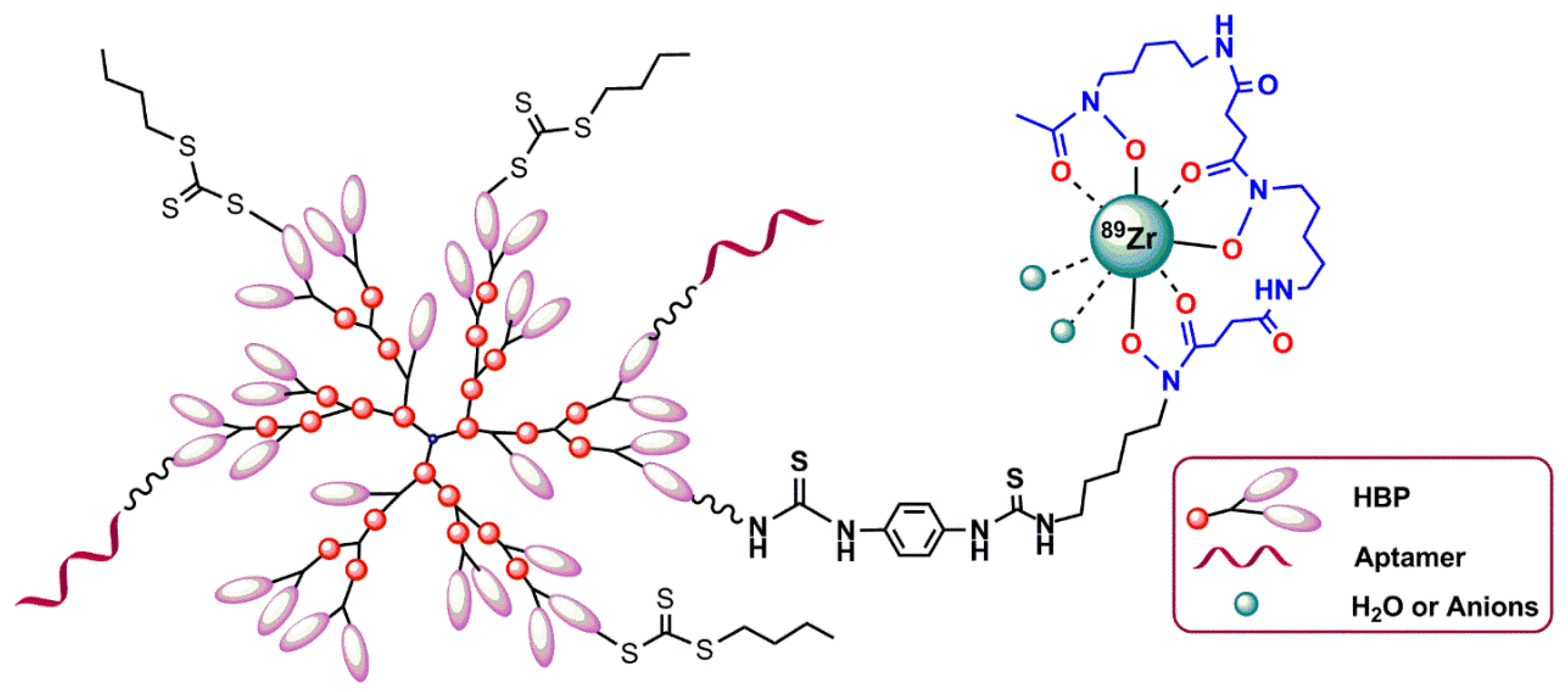 Pharmaceuticals Free FullText Radiolabeling of Nucleic Acid