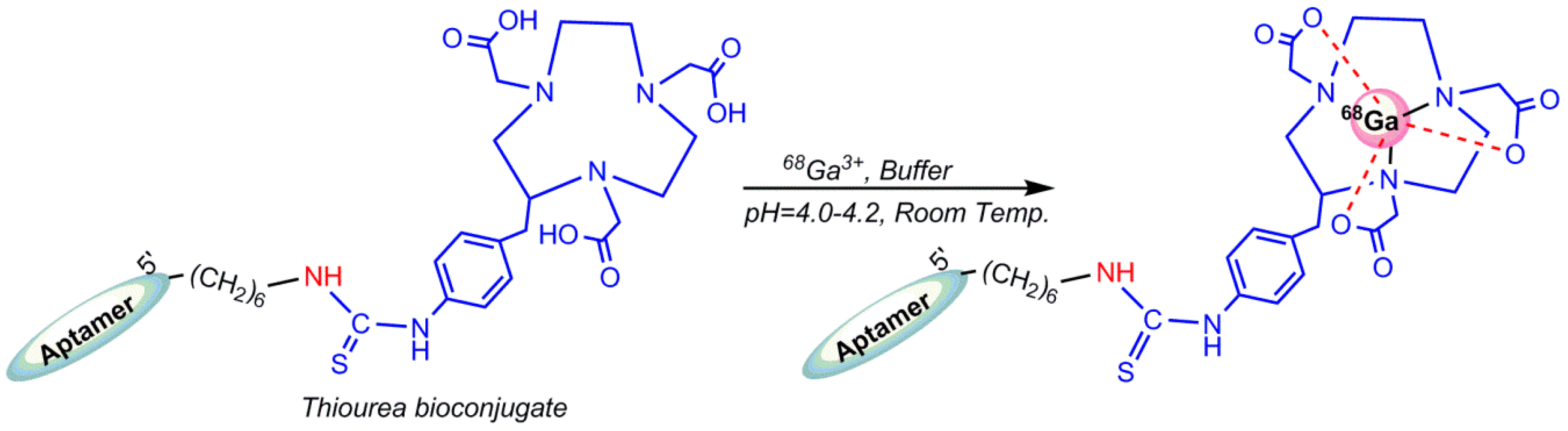 Pharmaceuticals Free FullText Radiolabeling of Nucleic Acid