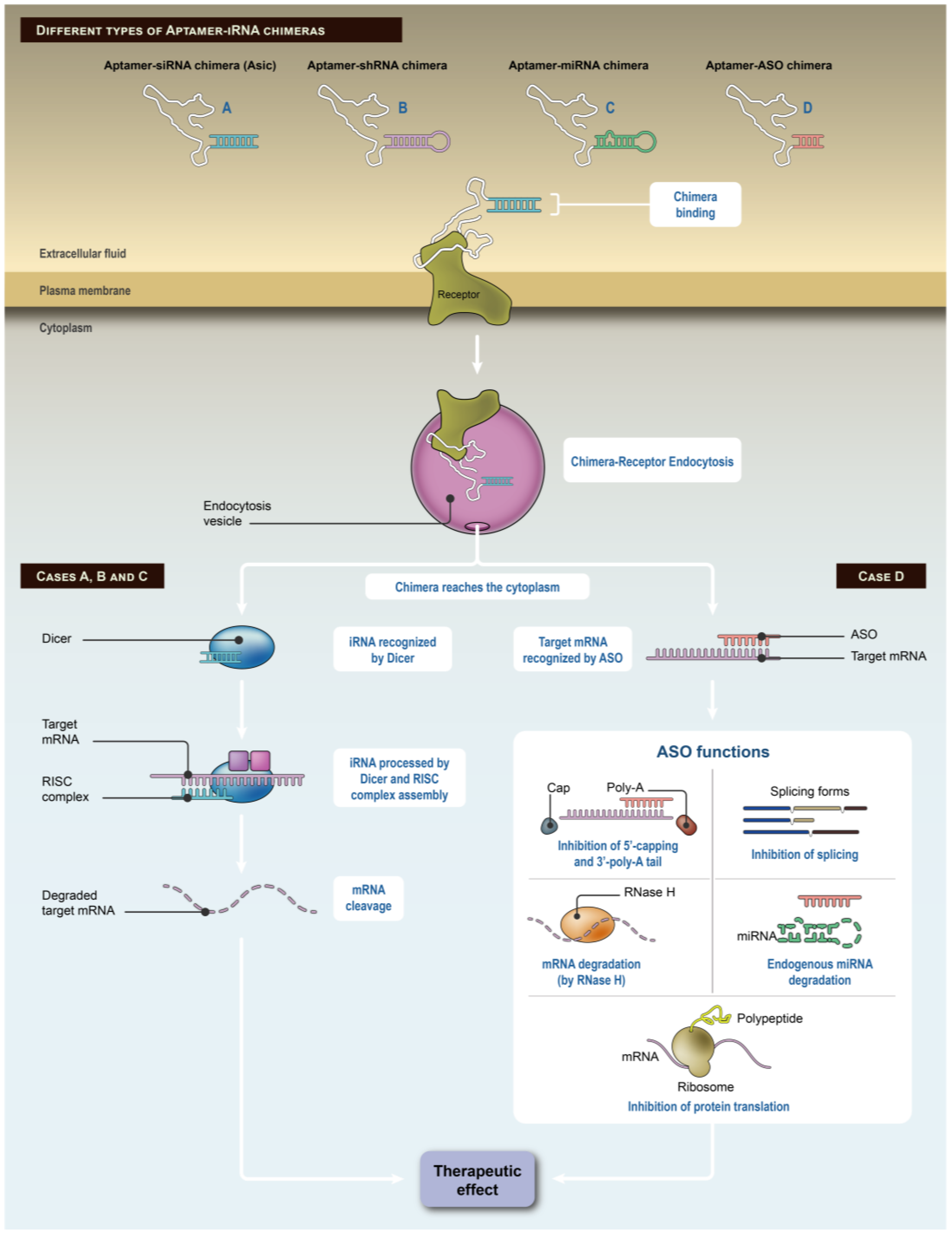 Pharmaceuticals 11 00108 g001 Pharmaceuticals 11 00108 g001