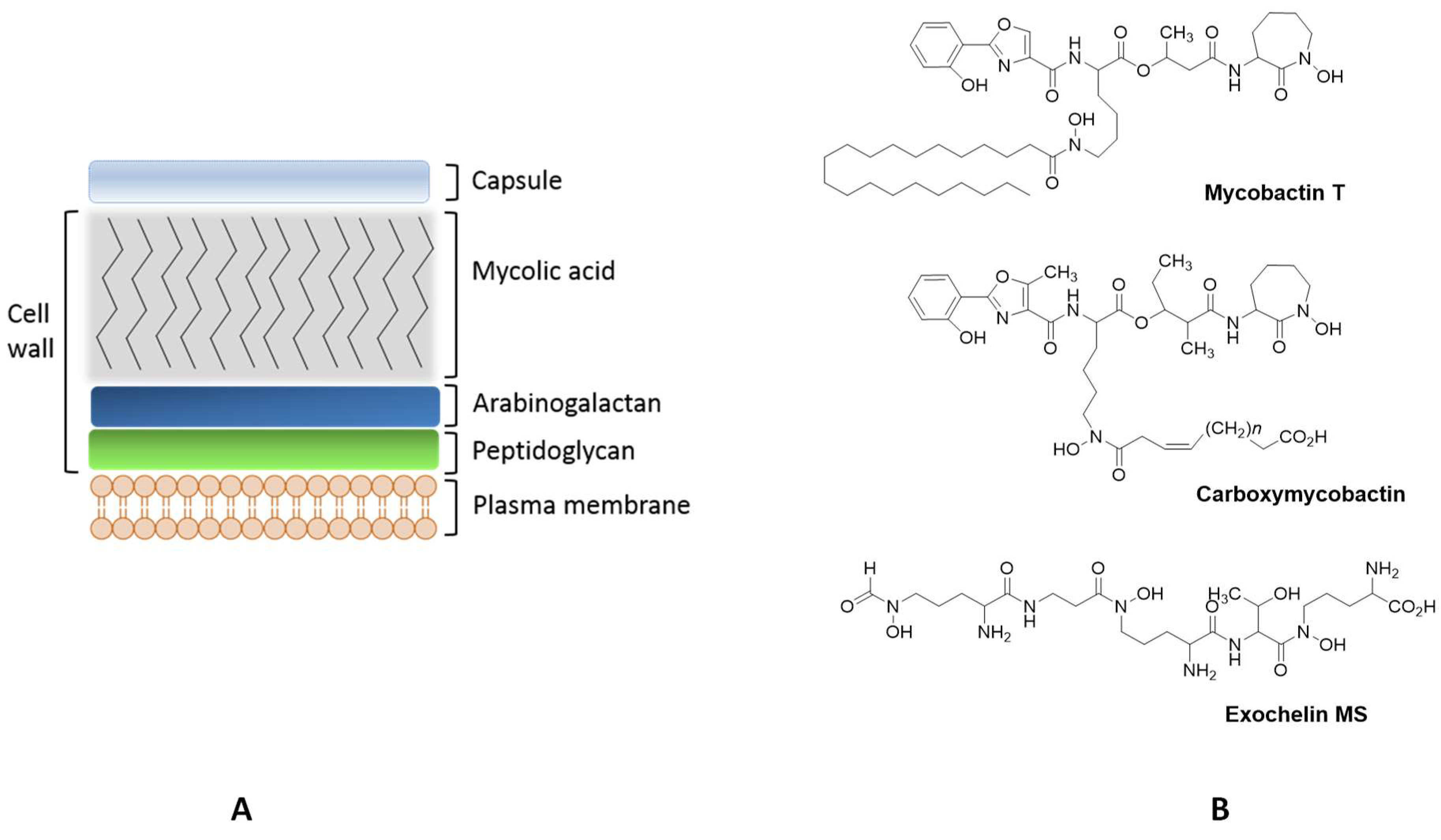 Pharmaceuticals 11 00110 g002 Pharmaceuticals 11 00110 g002