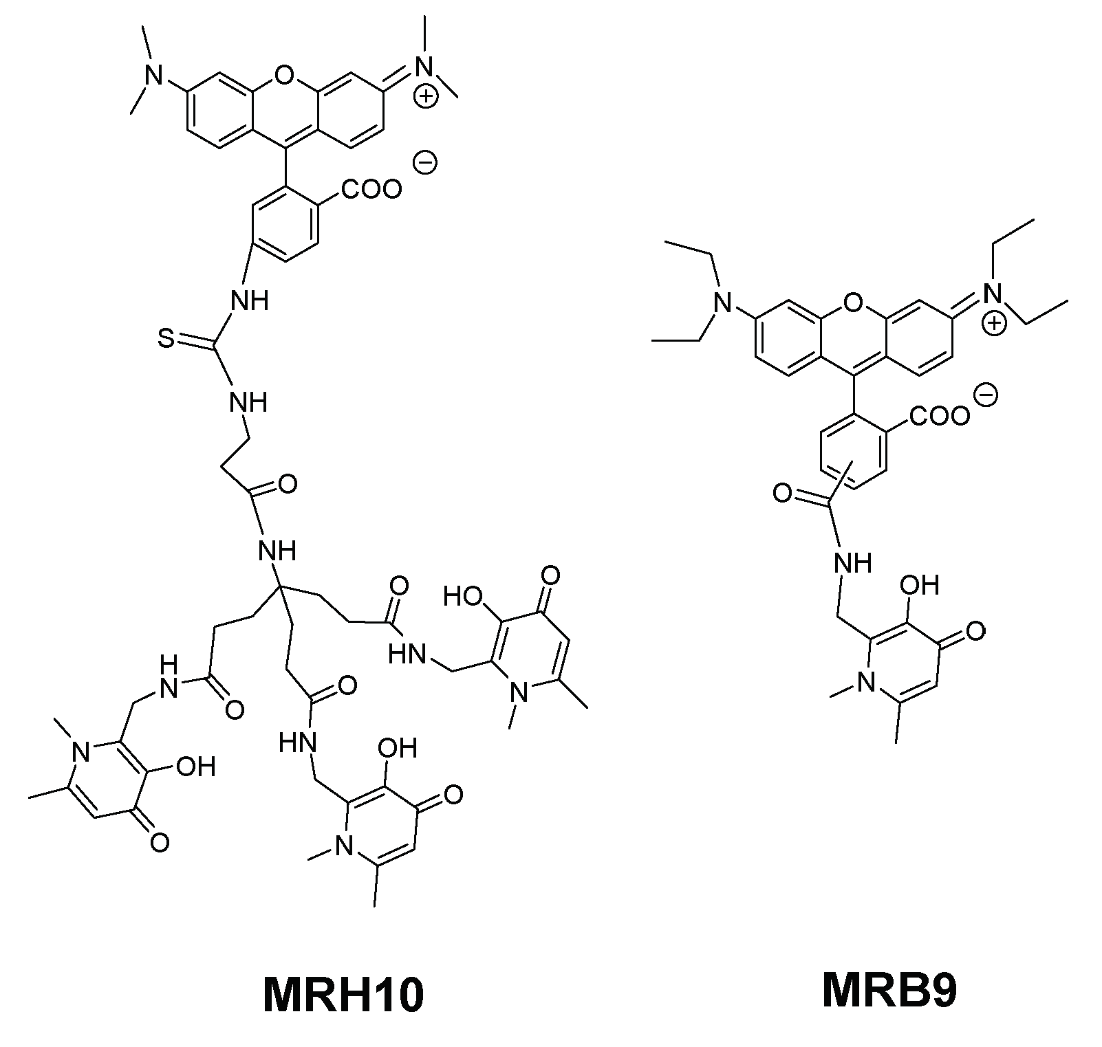 Pharmaceuticals 11 00110 g006 Pharmaceuticals 11 00110 g006