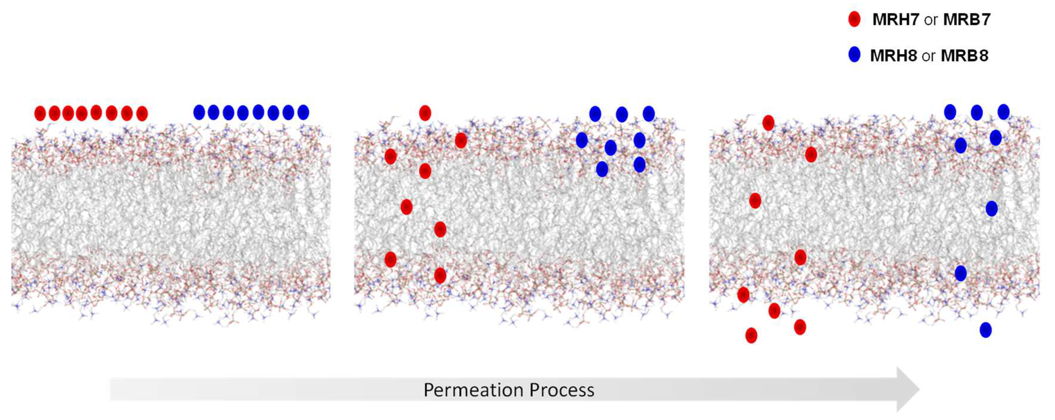 Pharmaceuticals 11 00110 g007 Pharmaceuticals 11 00110 g007
