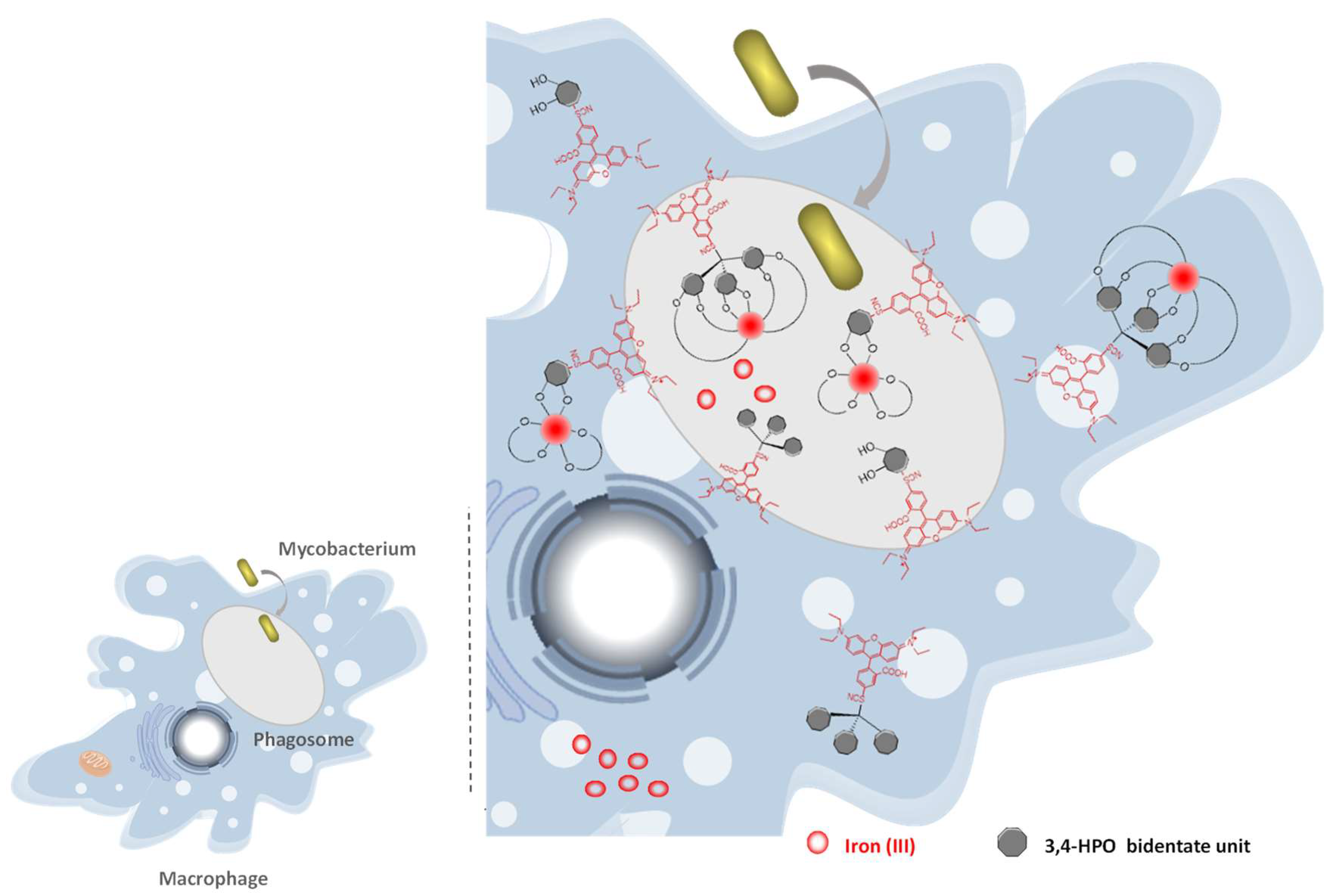 Pharmaceuticals 11 00110 g008 Pharmaceuticals 11 00110 g008