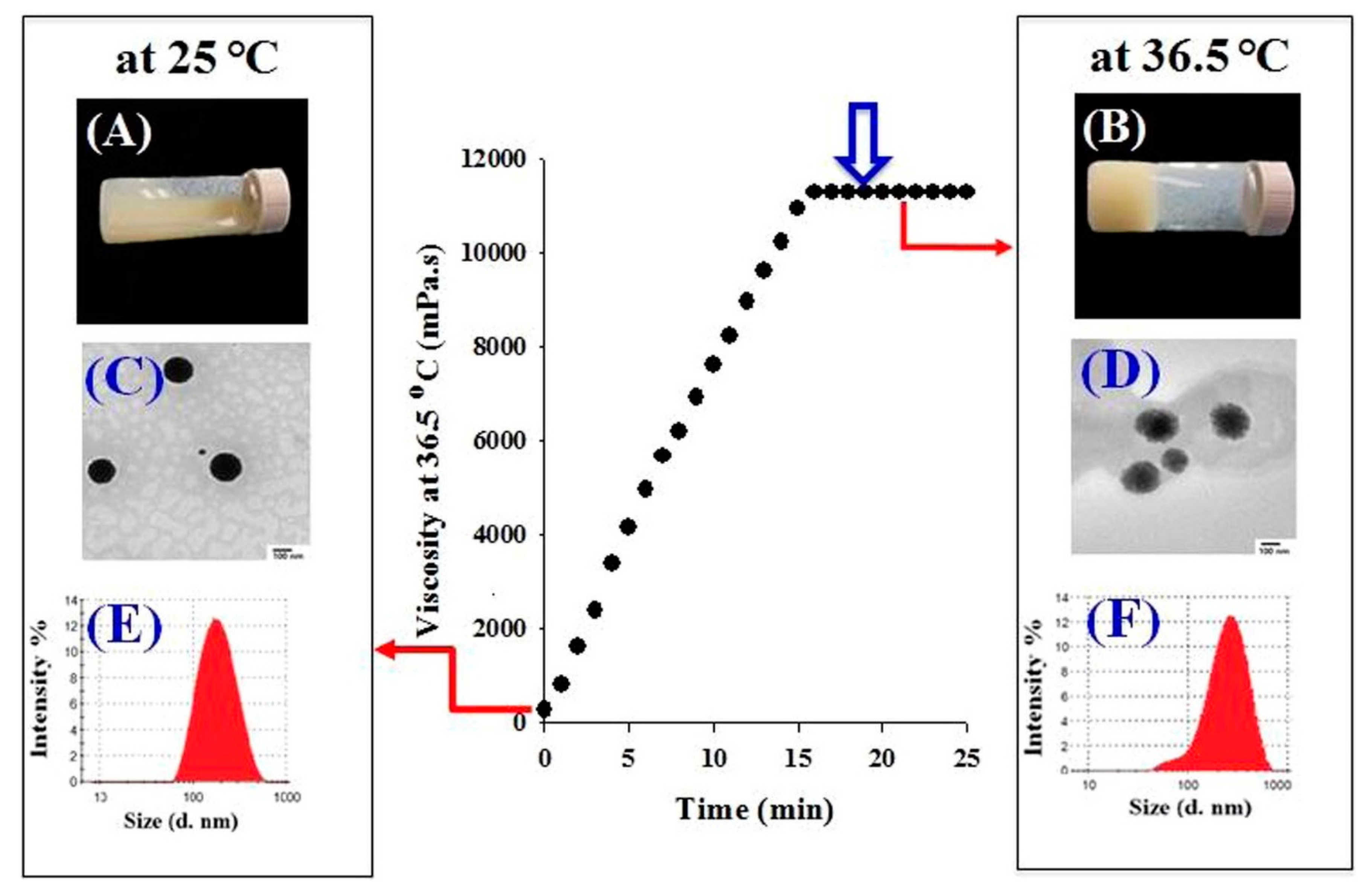 Pharmaceuticals 11 00118 g006