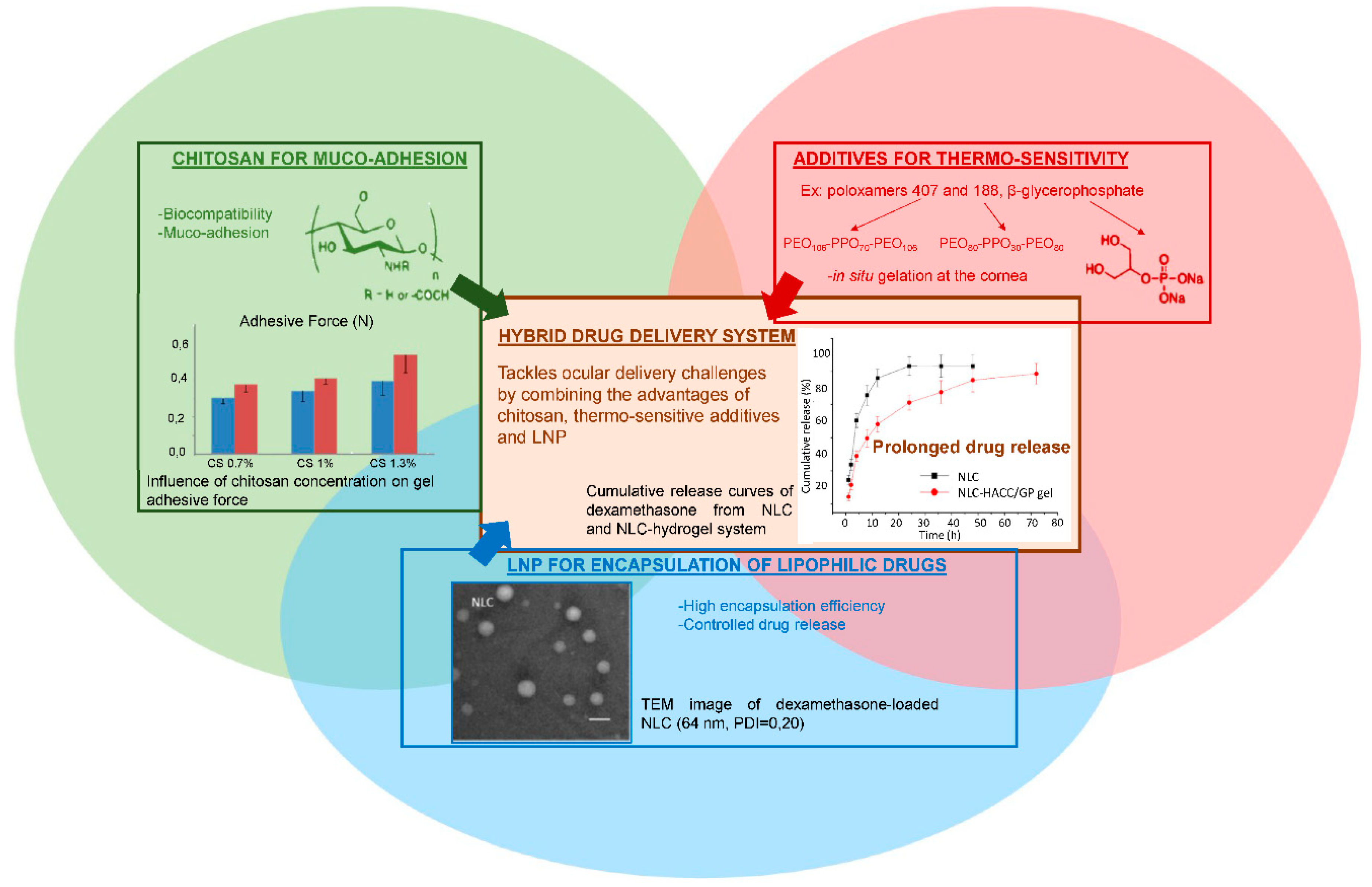 Pharmaceuticals 11 00118 g008