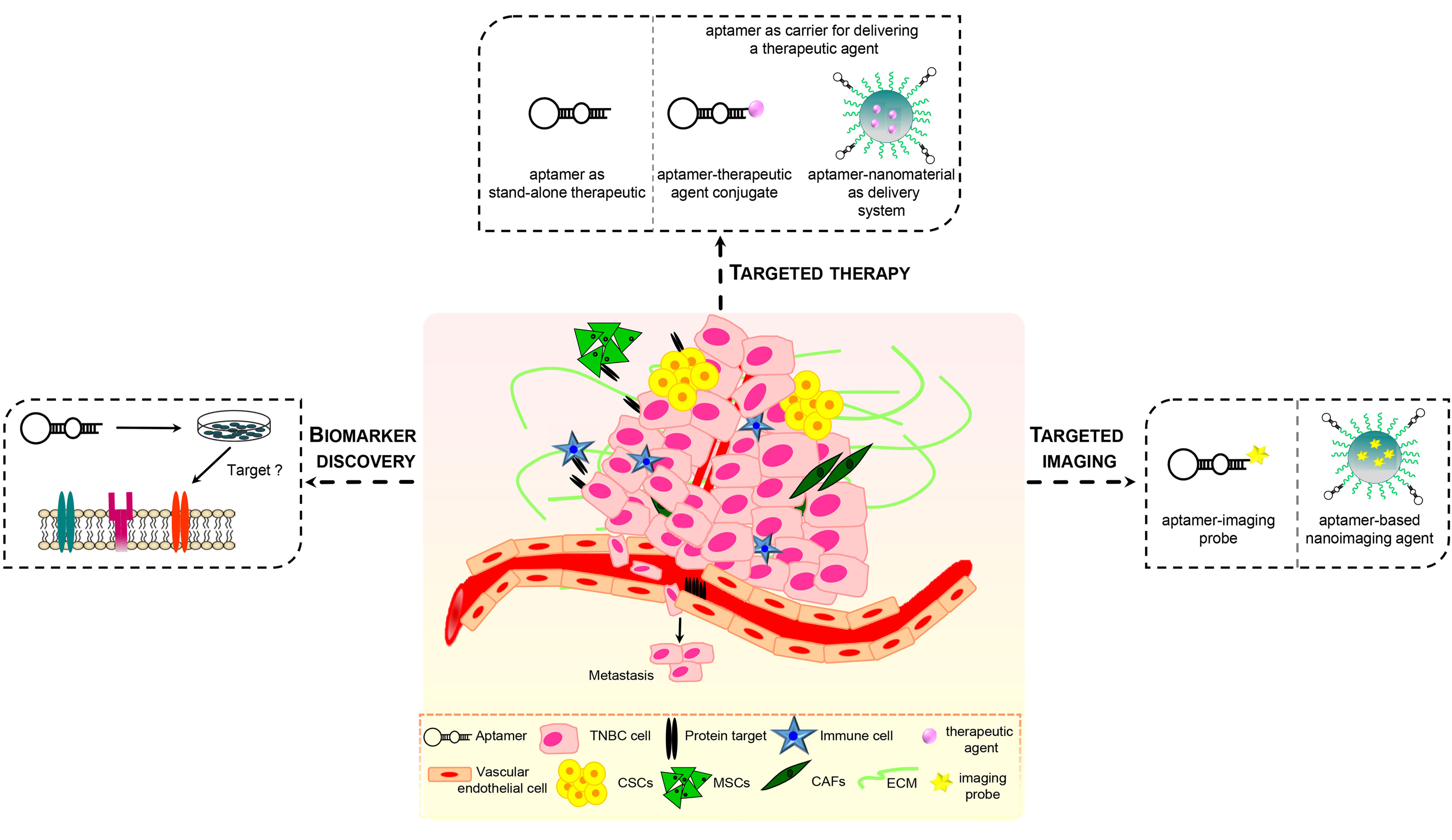 Pharmaceuticals 11 00123 g002 Pharmaceuticals 11 00123 g002