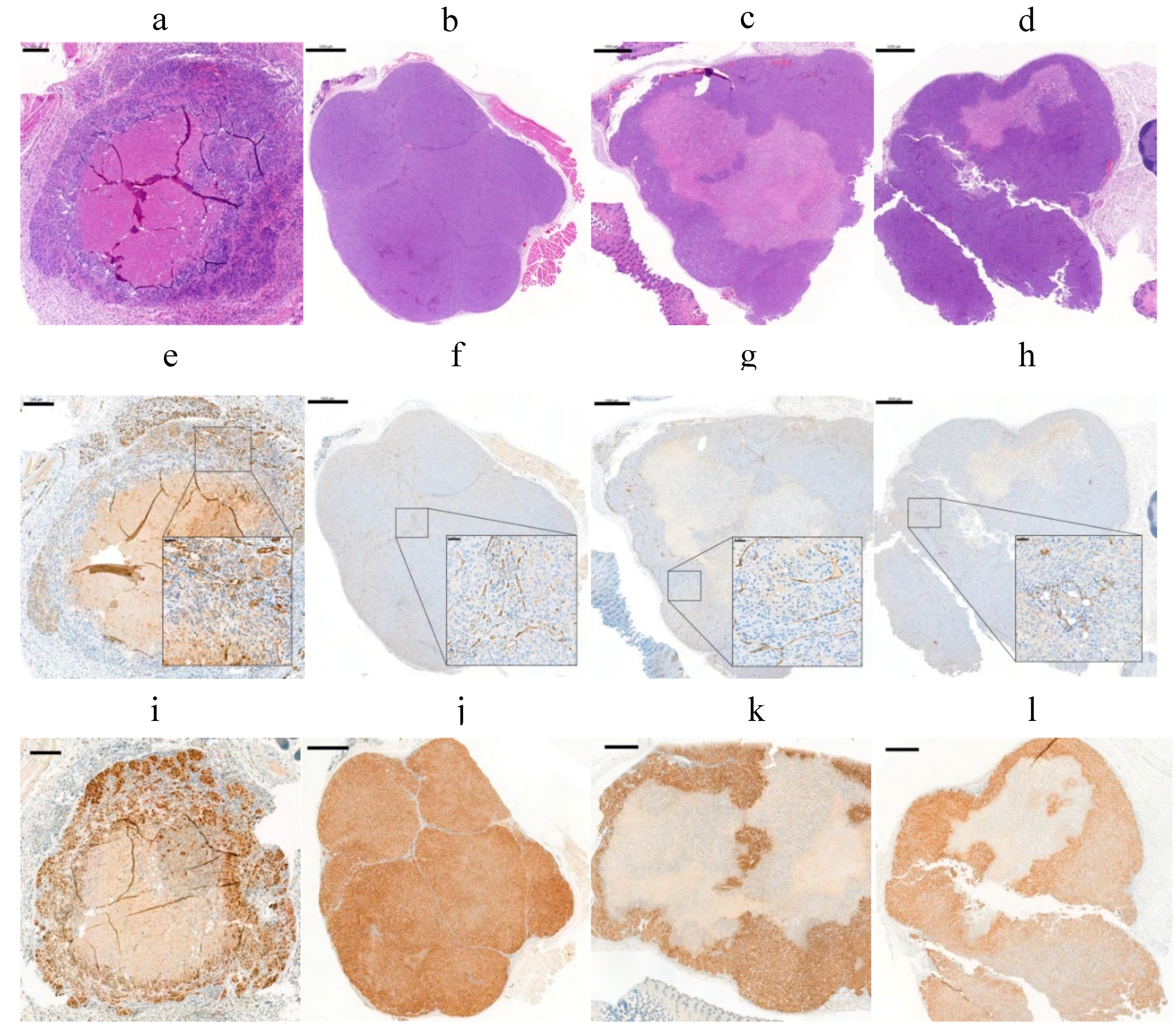 Pharmaceuticals 11 00132 g009 Pharmaceuticals 11 00132 g009
