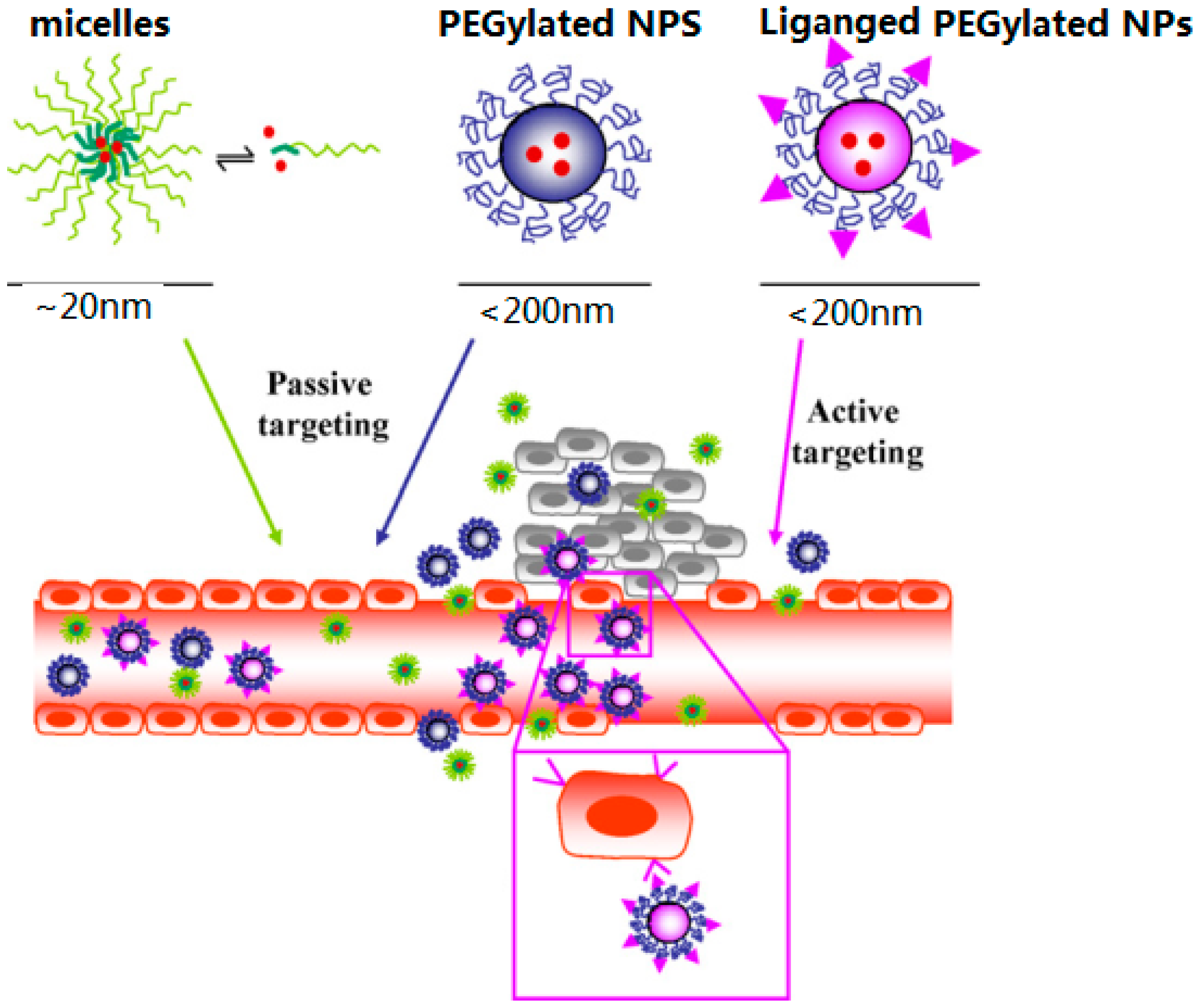 Pharmaceuticals 11 00133 g001 Pharmaceuticals 11 00133 g001
