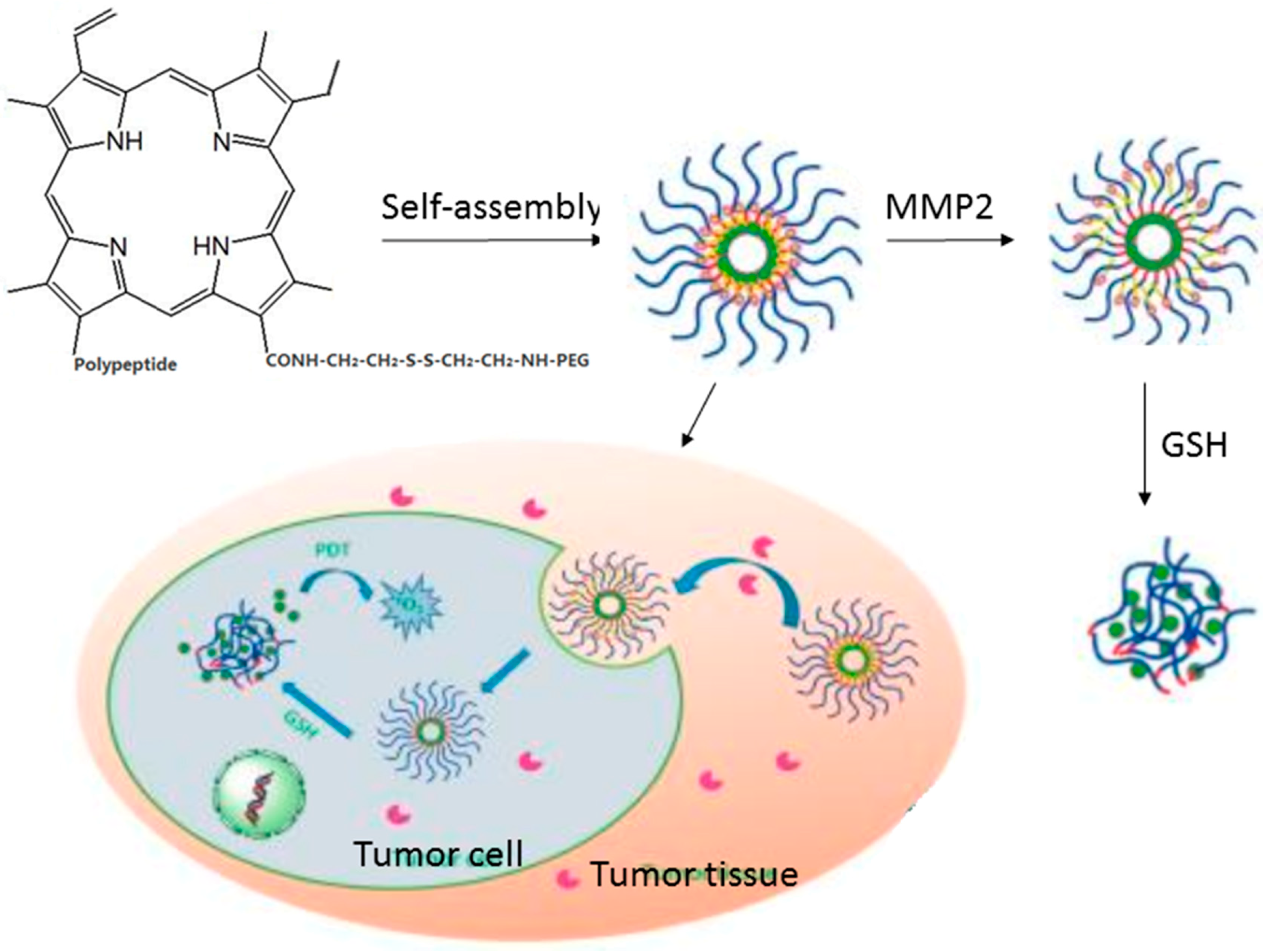 Pharmaceuticals 11 00133 g003 Pharmaceuticals 11 00133 g003
