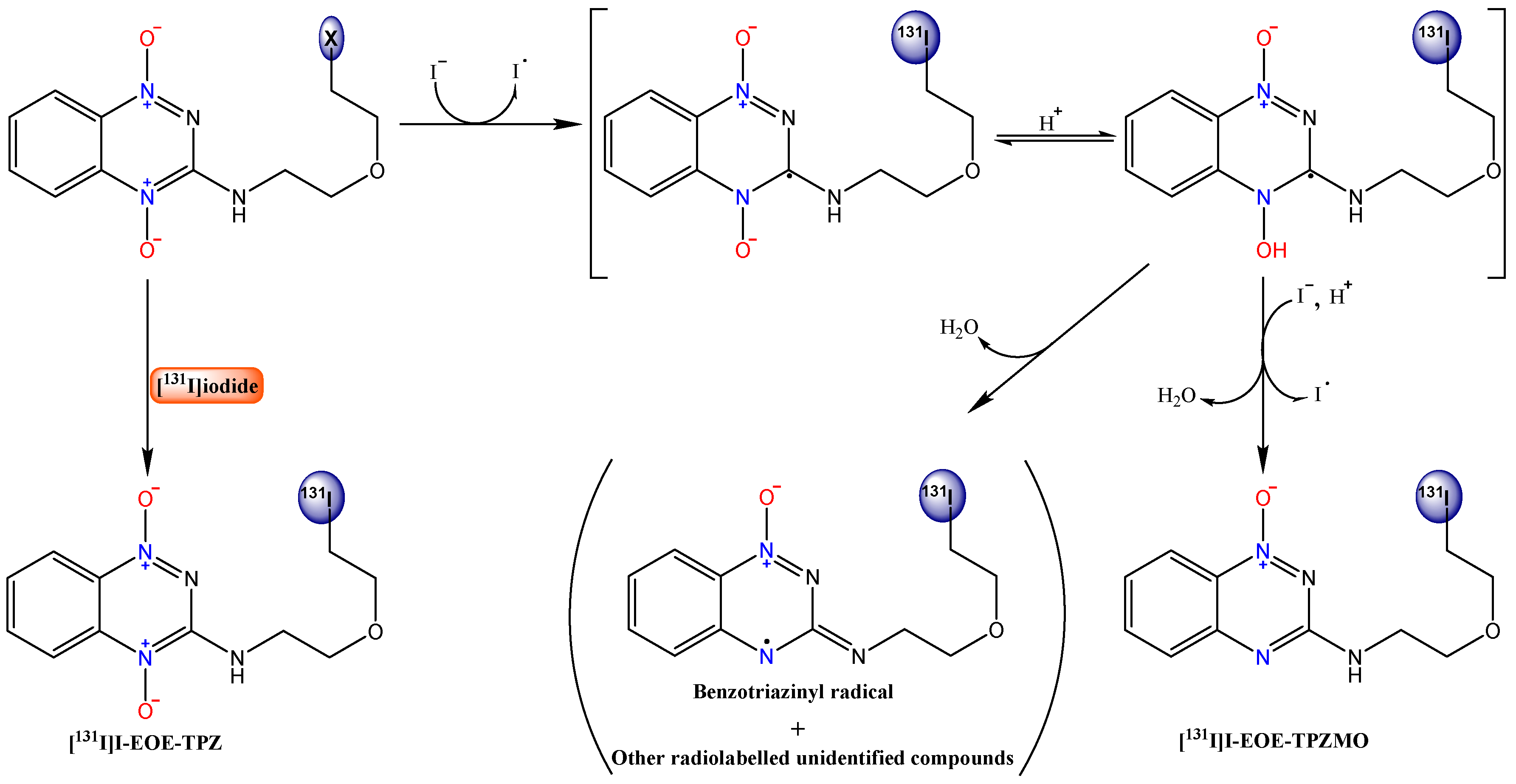 Pharmaceuticals 12 00003 sch001 Pharmaceuticals 12 00003 sch001