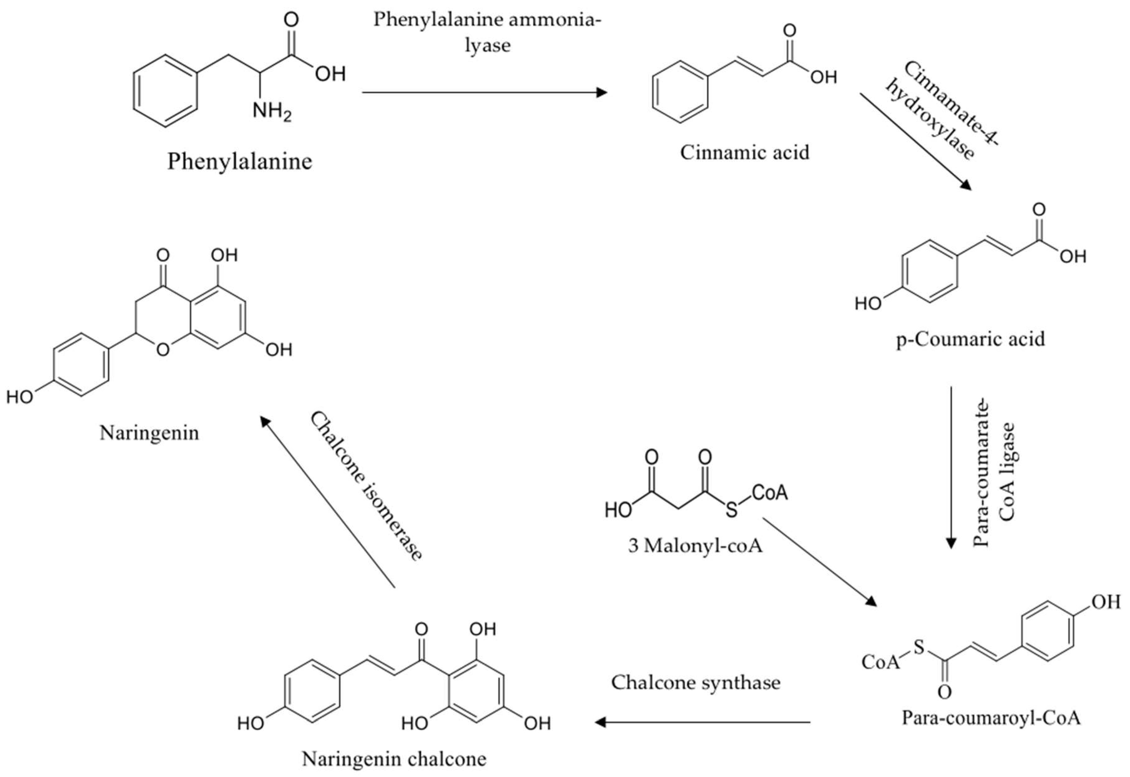 Pharmaceuticals 12 00011 g001
