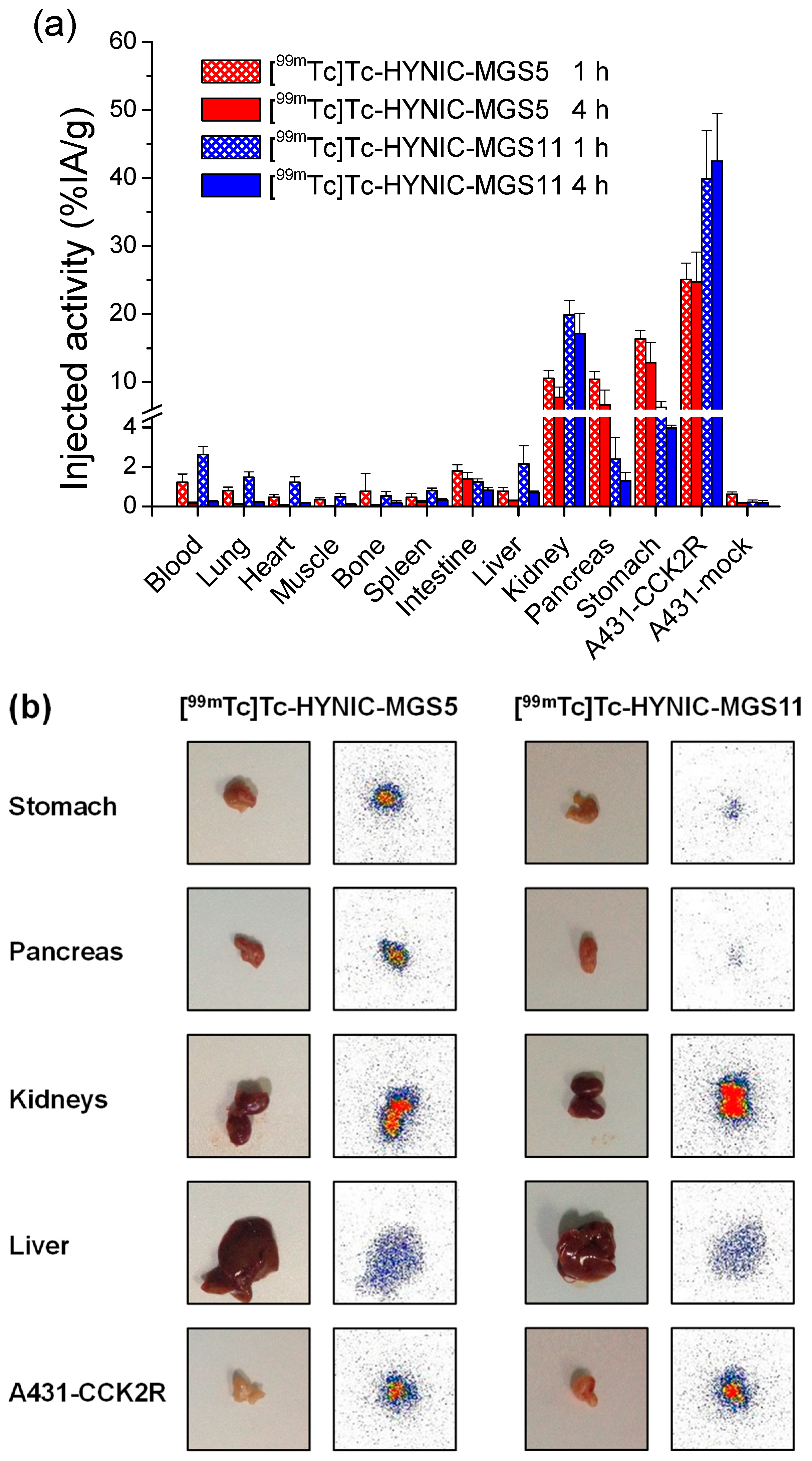 Pharmaceuticals 12 00013 g007