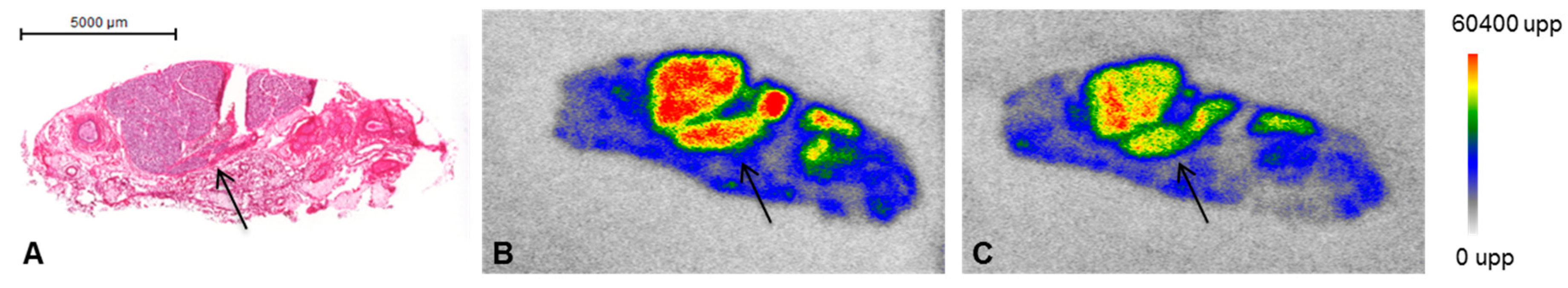 Pharmaceuticals 12 00018 g001 550