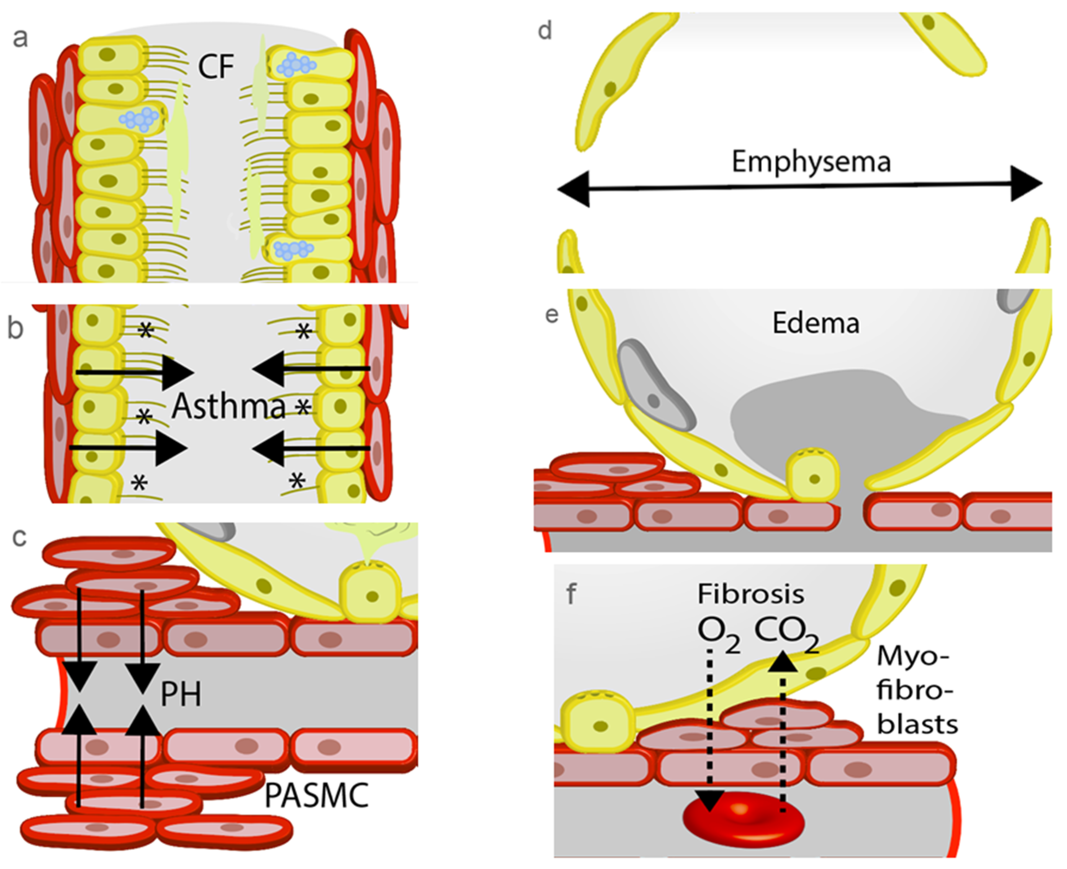 Pharmaceuticals 12 00023 g002 550