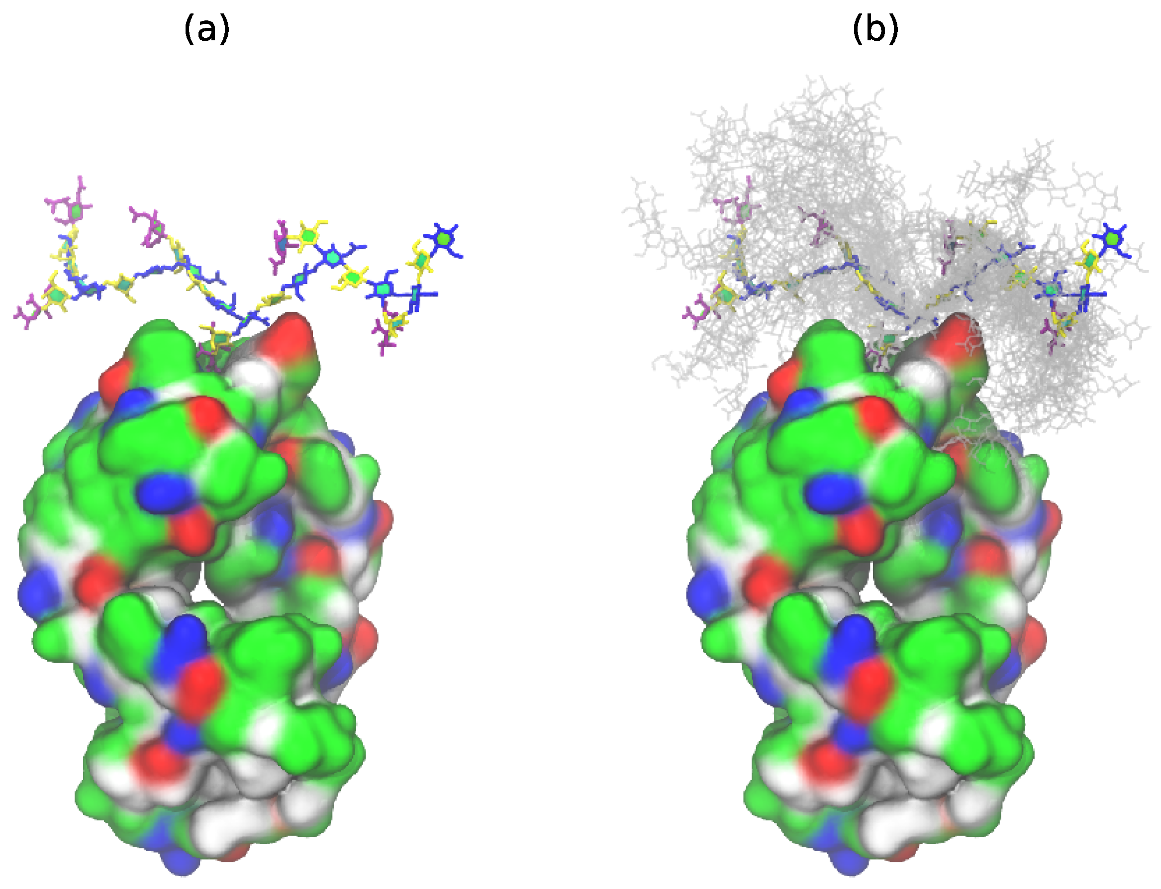 Pharmaceuticals 12 00028 g004
