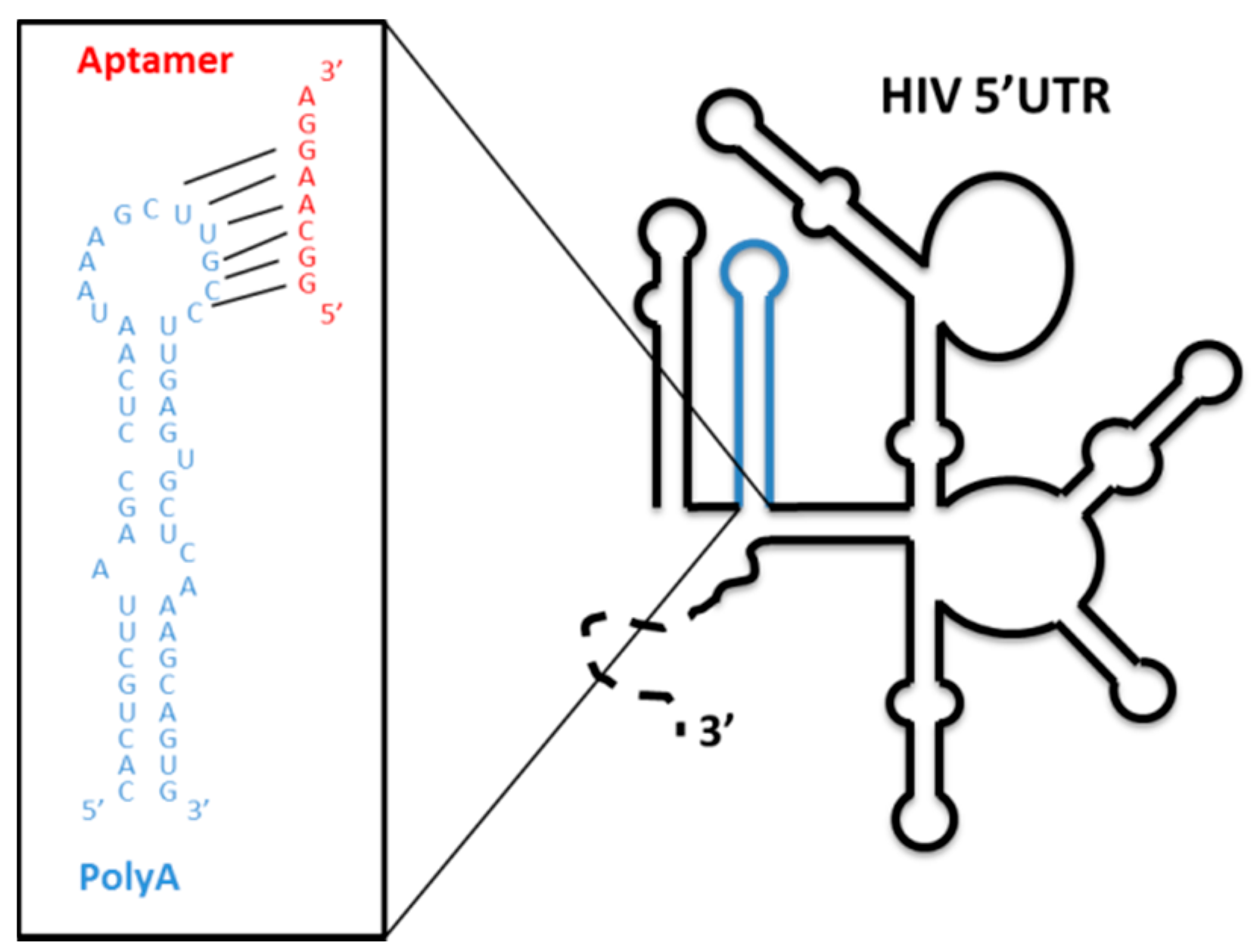 Pharmaceuticals 12 00038 g007 Pharmaceuticals 12 00038 g007