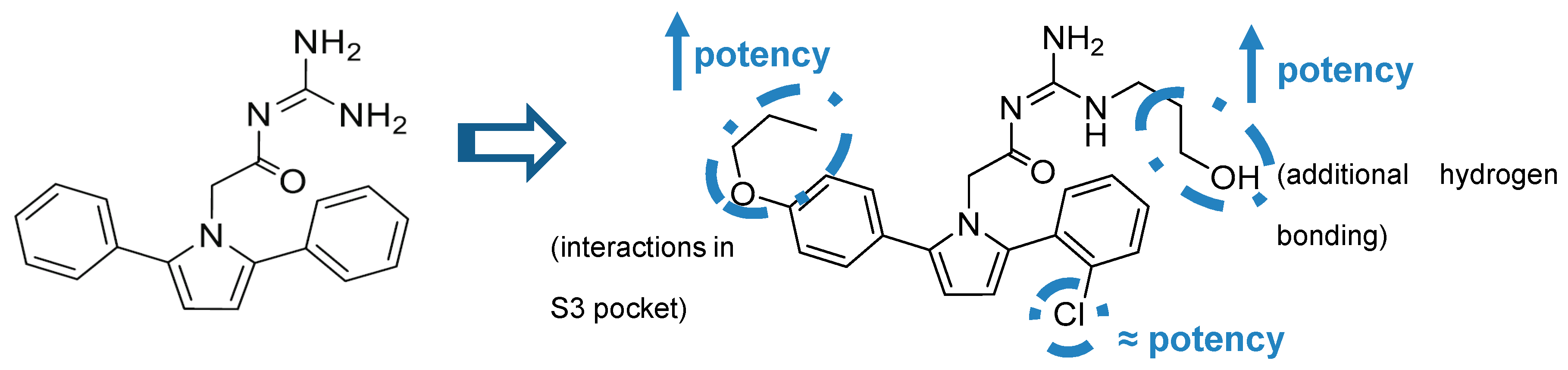 Pharmaceuticals 12 00041 g017
