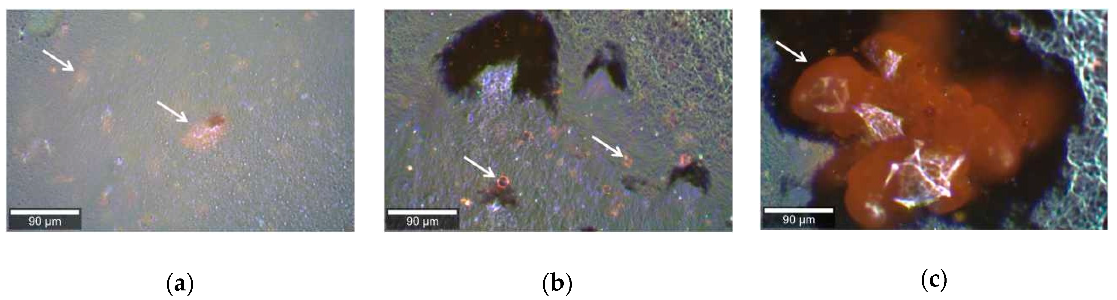 Pharmaceuticals 12 00044 g001