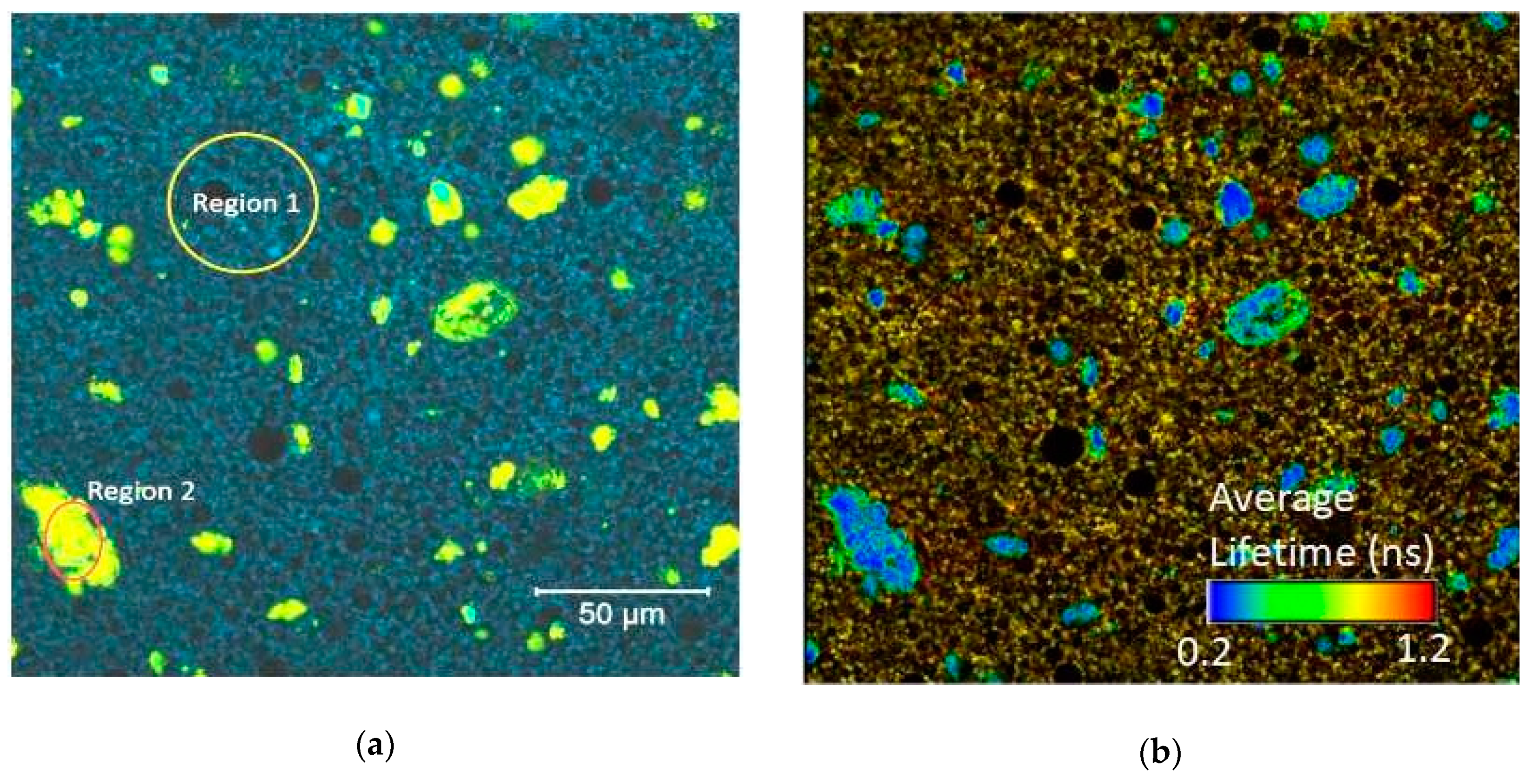 Pharmaceuticals 12 00044 g002a