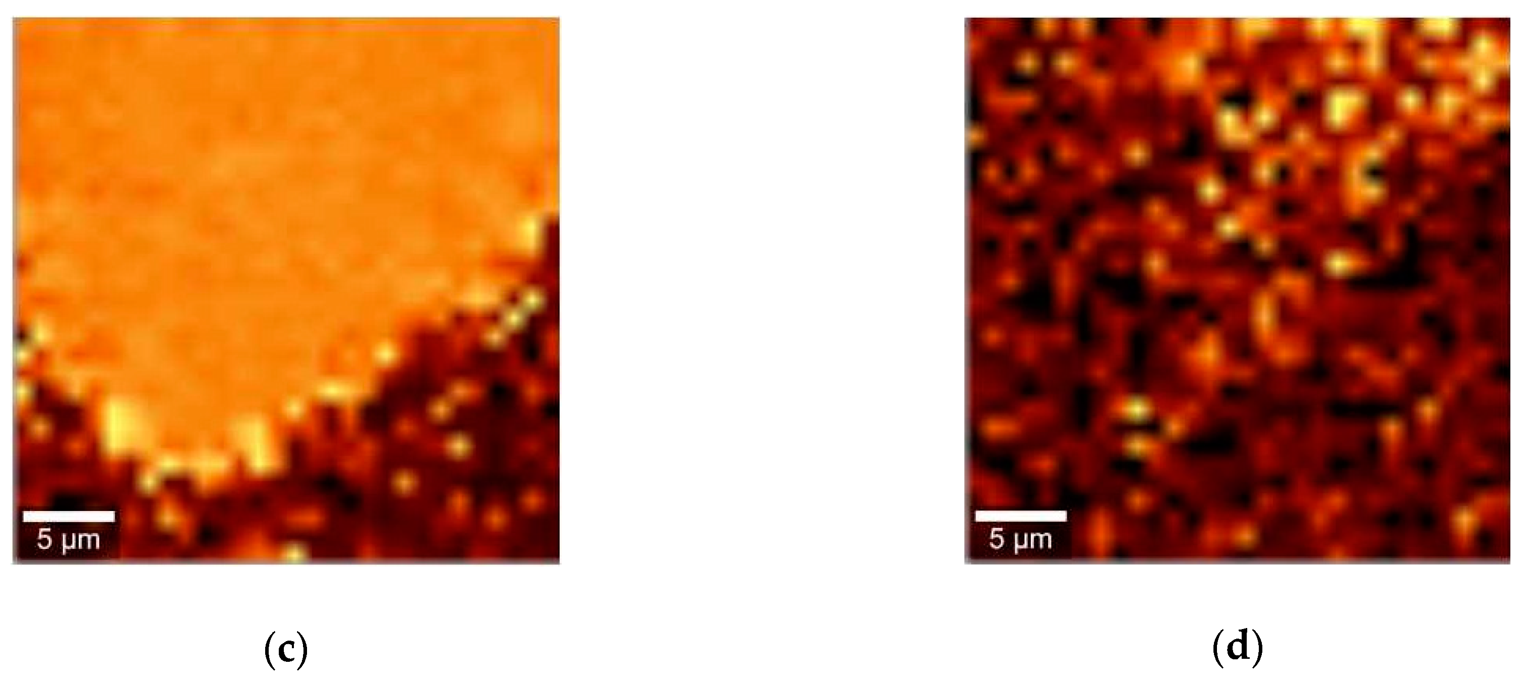 Pharmaceuticals 12 00044 g004b