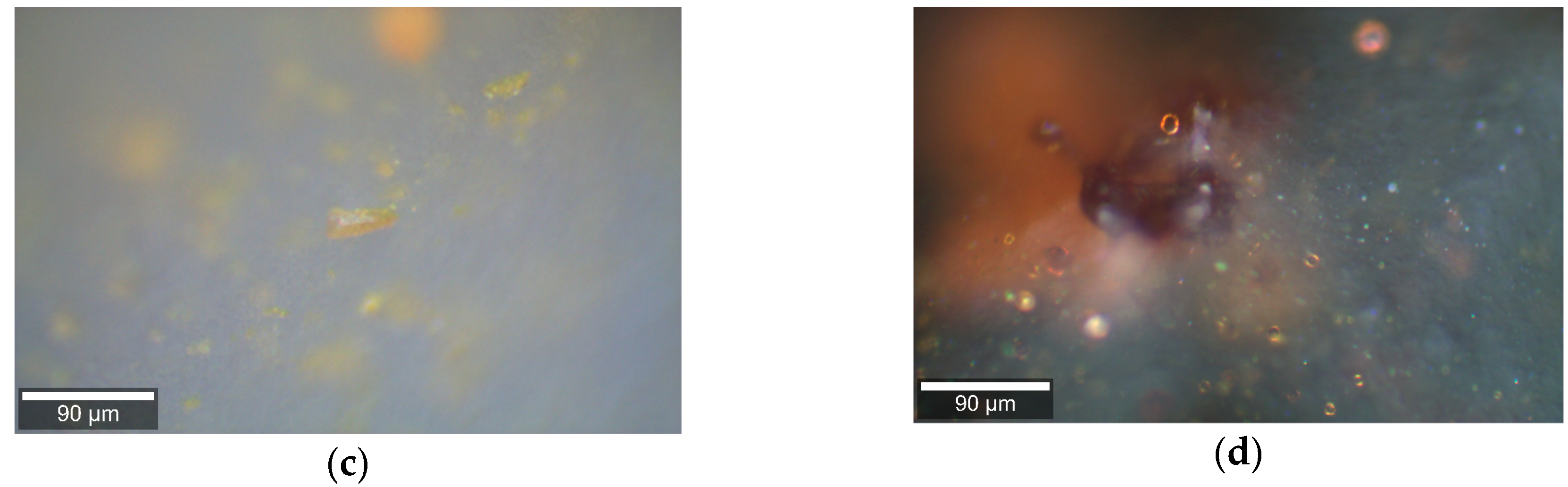 Pharmaceuticals 12 00044 g005b