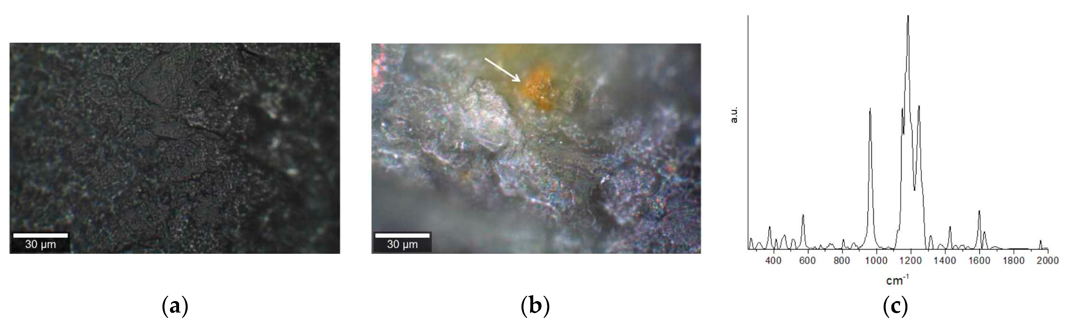 Pharmaceuticals 12 00044 g006