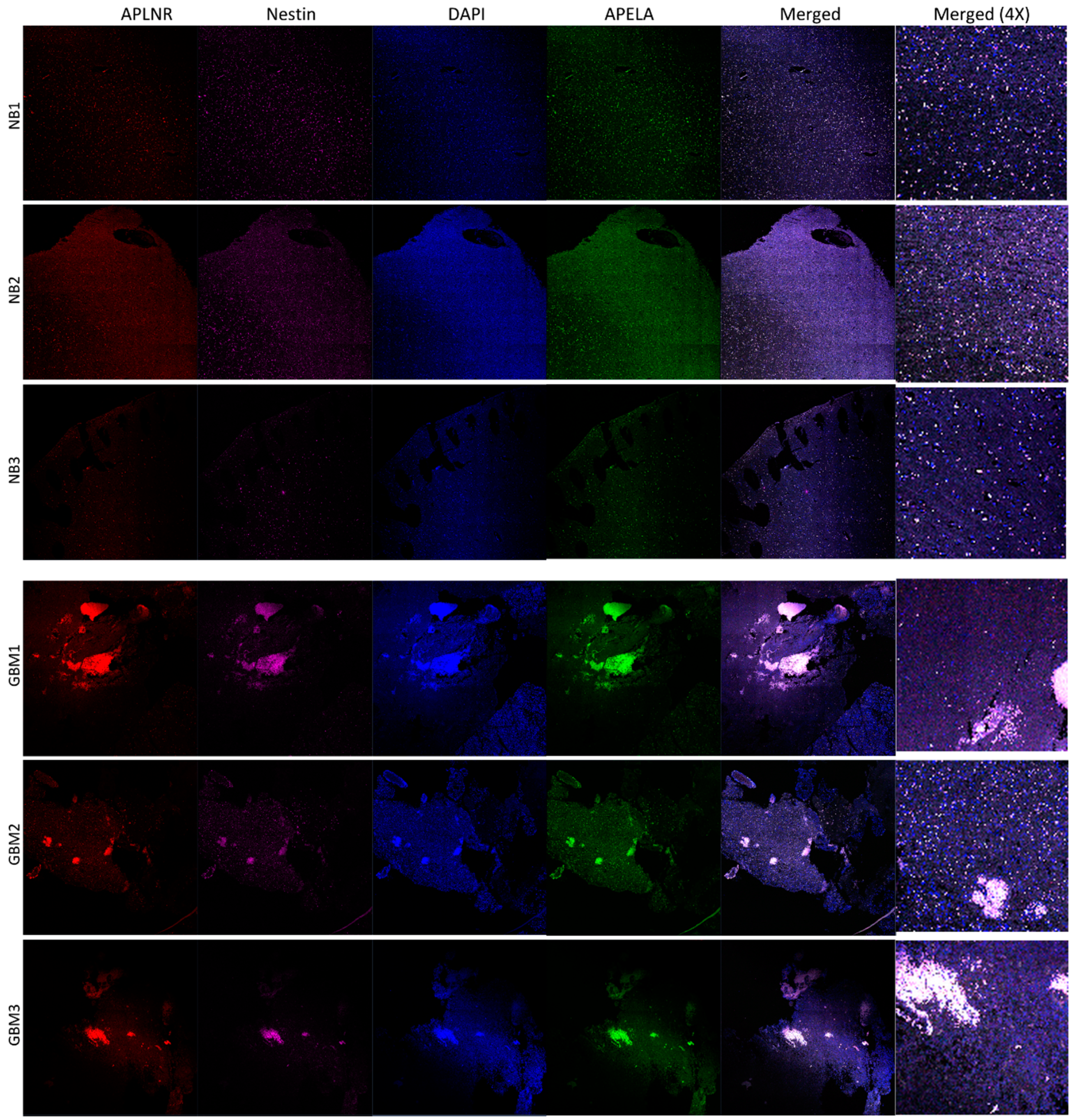 Pharmaceuticals 12 00045 g004 Pharmaceuticals 12 00045 g004