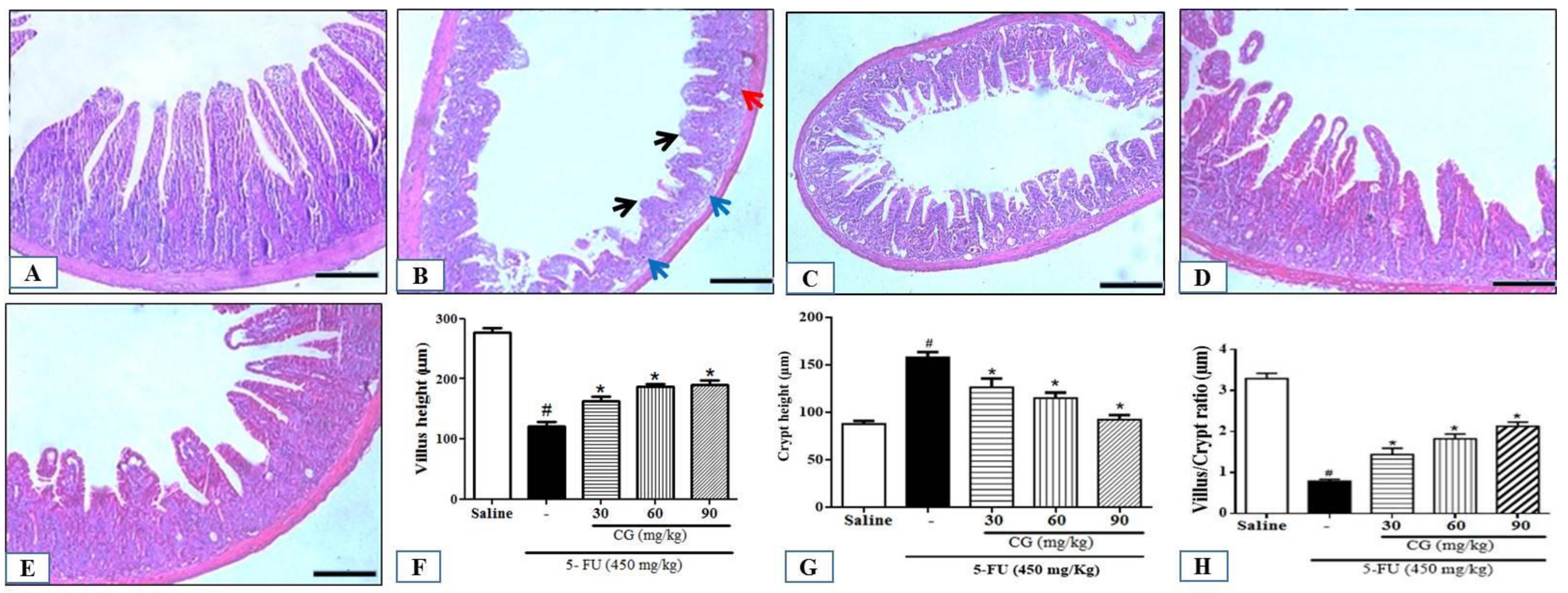 Pharmaceuticals 12 00051 g002 550