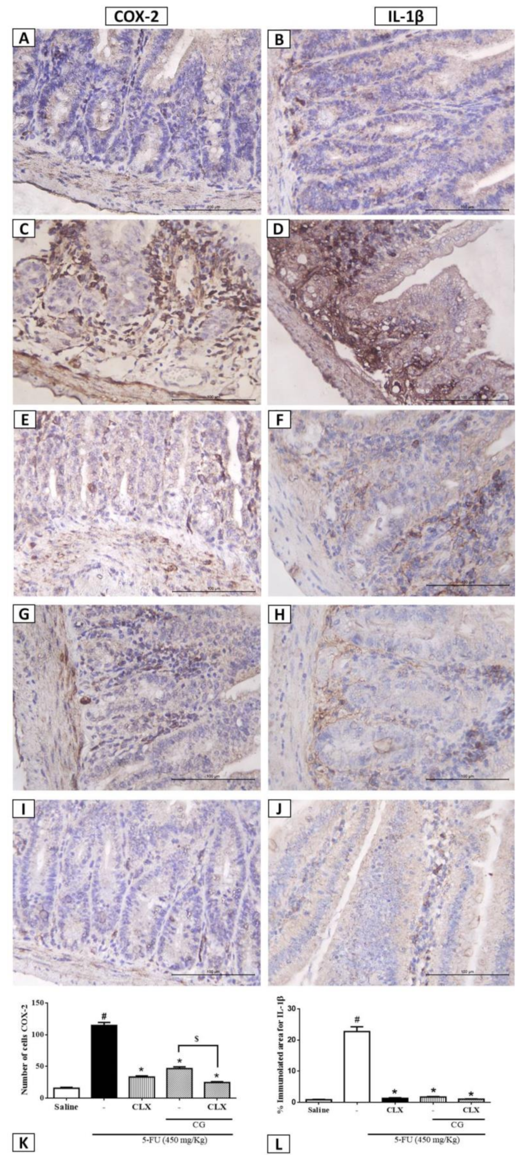 Pharmaceuticals Free Full Text Protective Effect Of Cashew Gum Anacardium Occidentale L On 5 Fluorouracil Induced Intestinal Mucositis Html Pharmaceuticals Free Full Text Protective Effect Of Cashew Gum Anacardium Occidentale L On 5 Fluorouracil Induced Intestinal Mucositis Html