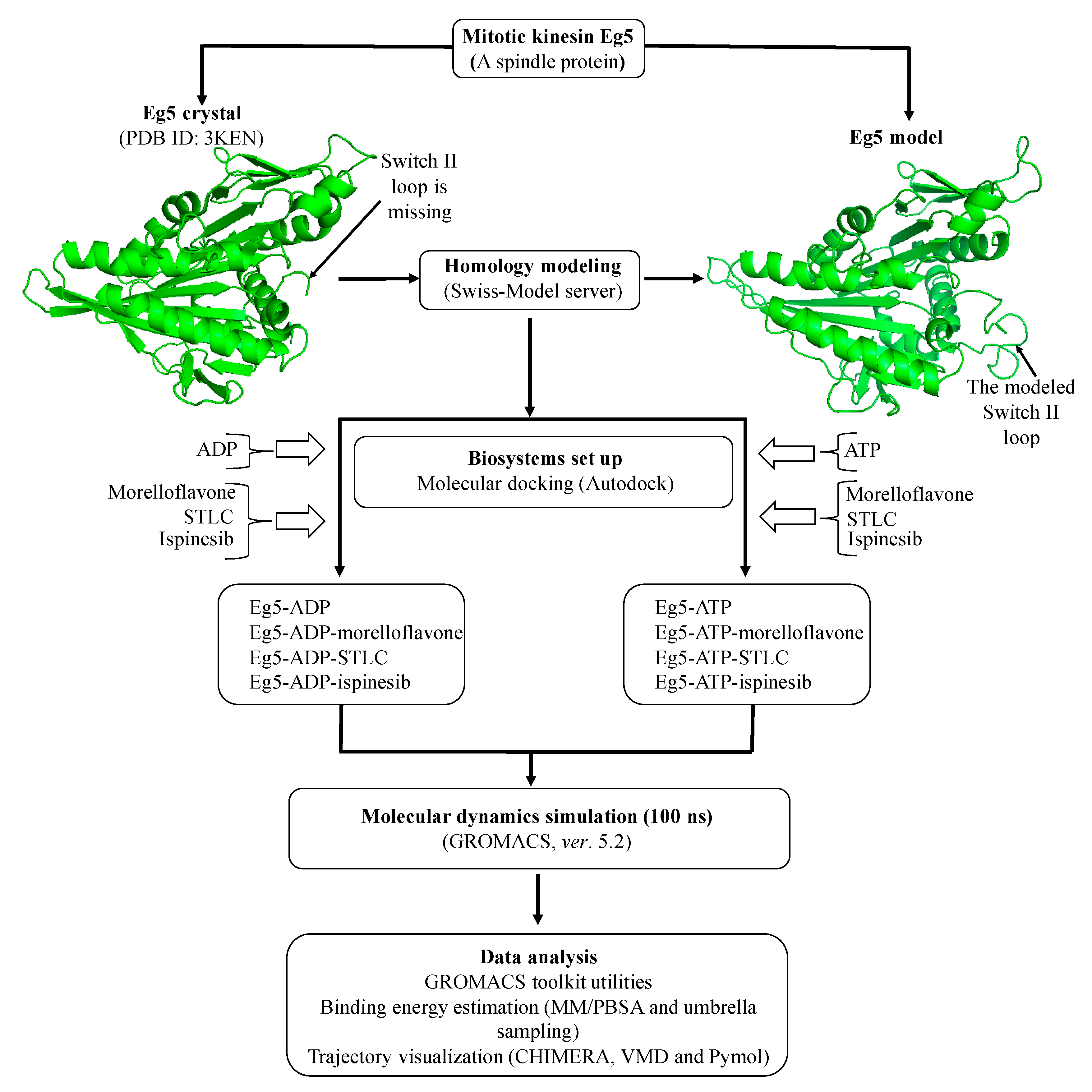 Pharmaceuticals 12 00058 g002 Pharmaceuticals 12 00058 g002