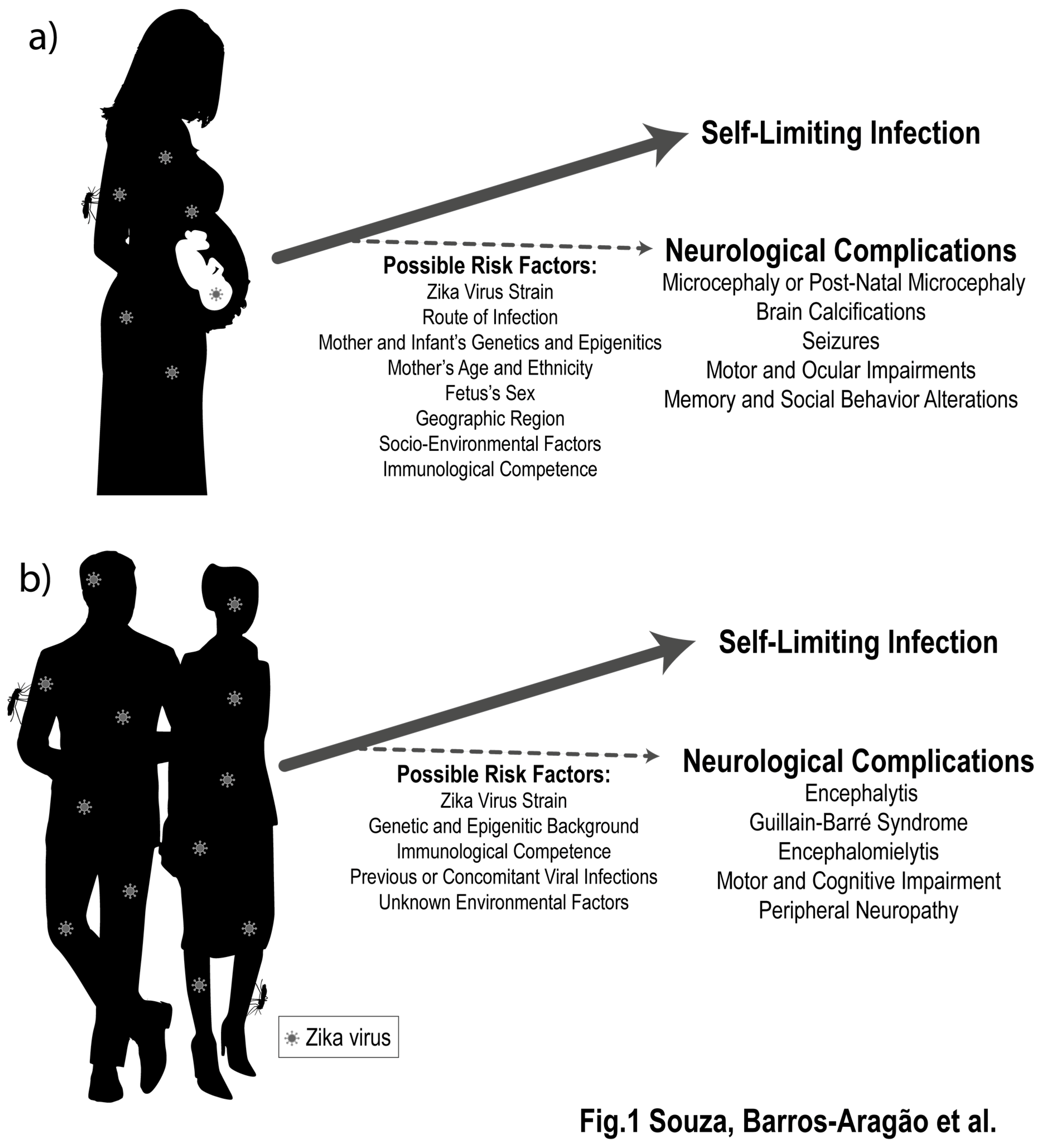 Pharmaceuticals Free Full Text Late Neurological Consequences Of Zika Virus Infection Risk Factors And Pharmaceutical Approaches Html