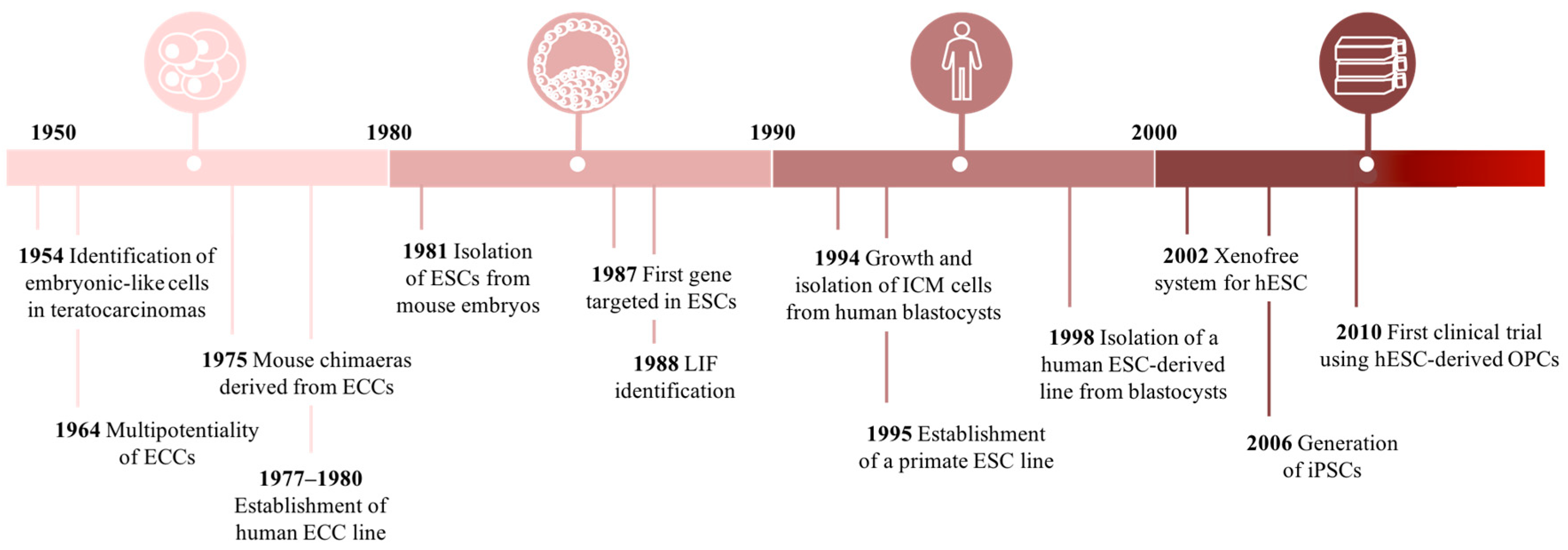 Cell History Timeline